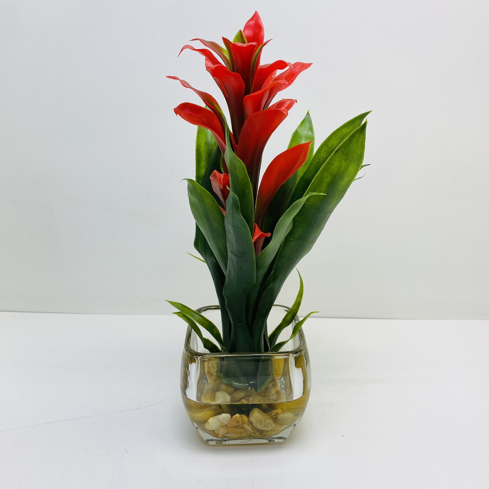 Modern Bromeliad with Glass Vase Arrangement 12″ Red