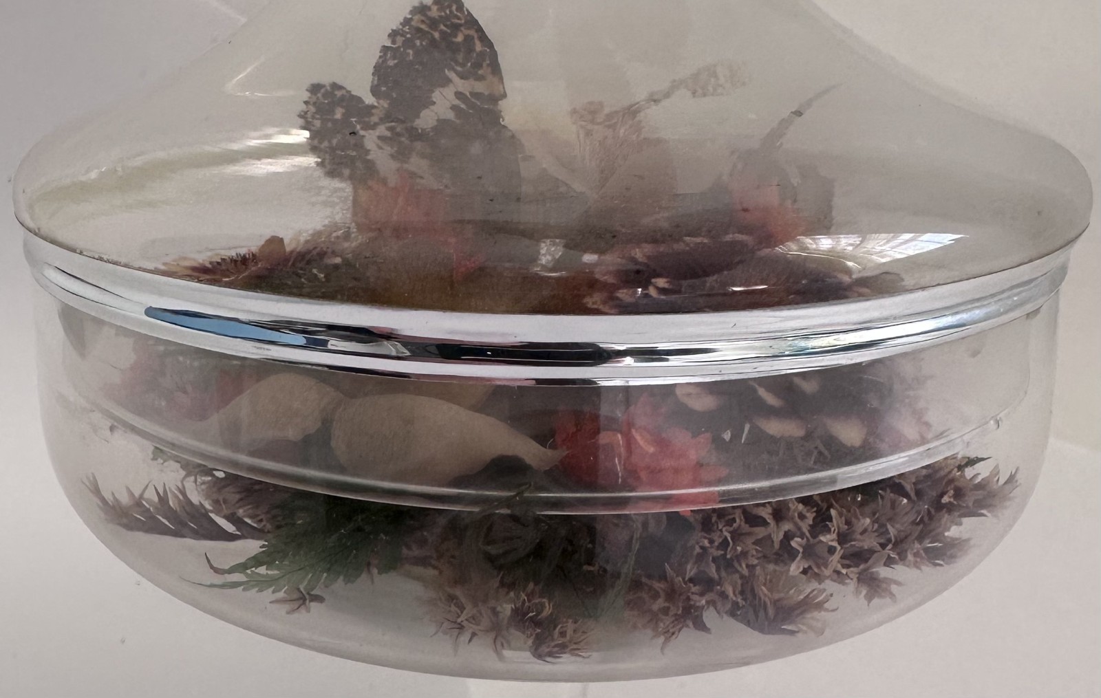 Vintage Glass Cloche Terrarium Butterfly Dried Flowers Pedestal Dome Display