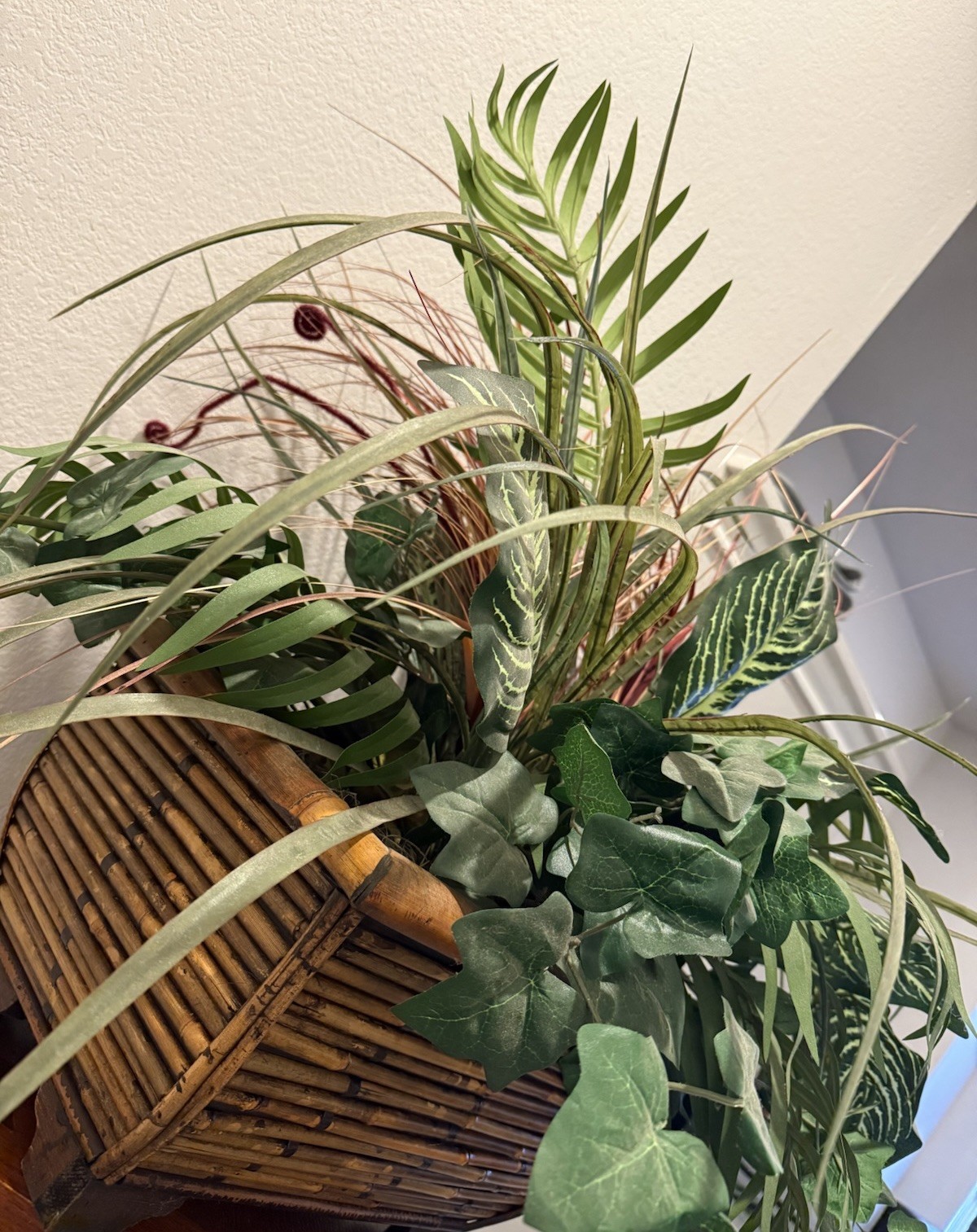mixed foliage Collection Of Greenery plants & Cattails Zebra, Ferns,palms & Ivy