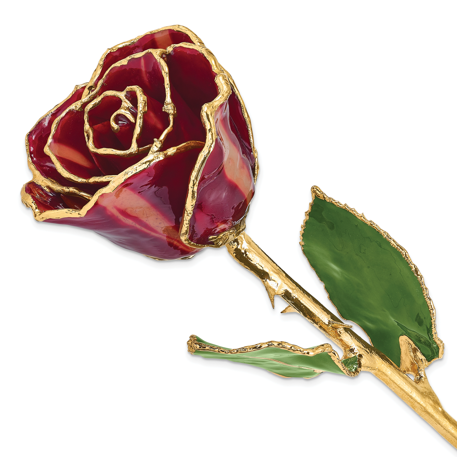 Lacquer Dipped Gold Trimmed Abracadabra Real Rose GP9353