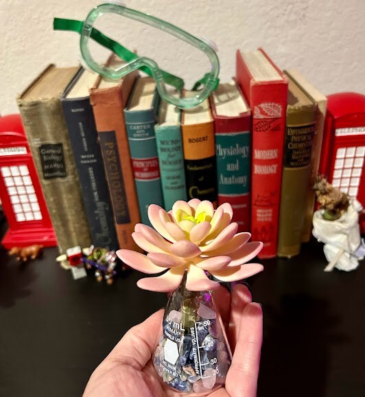 Artificial Potted Succulent Flower Pink Echeveria Science Decor Lapis Lazuli