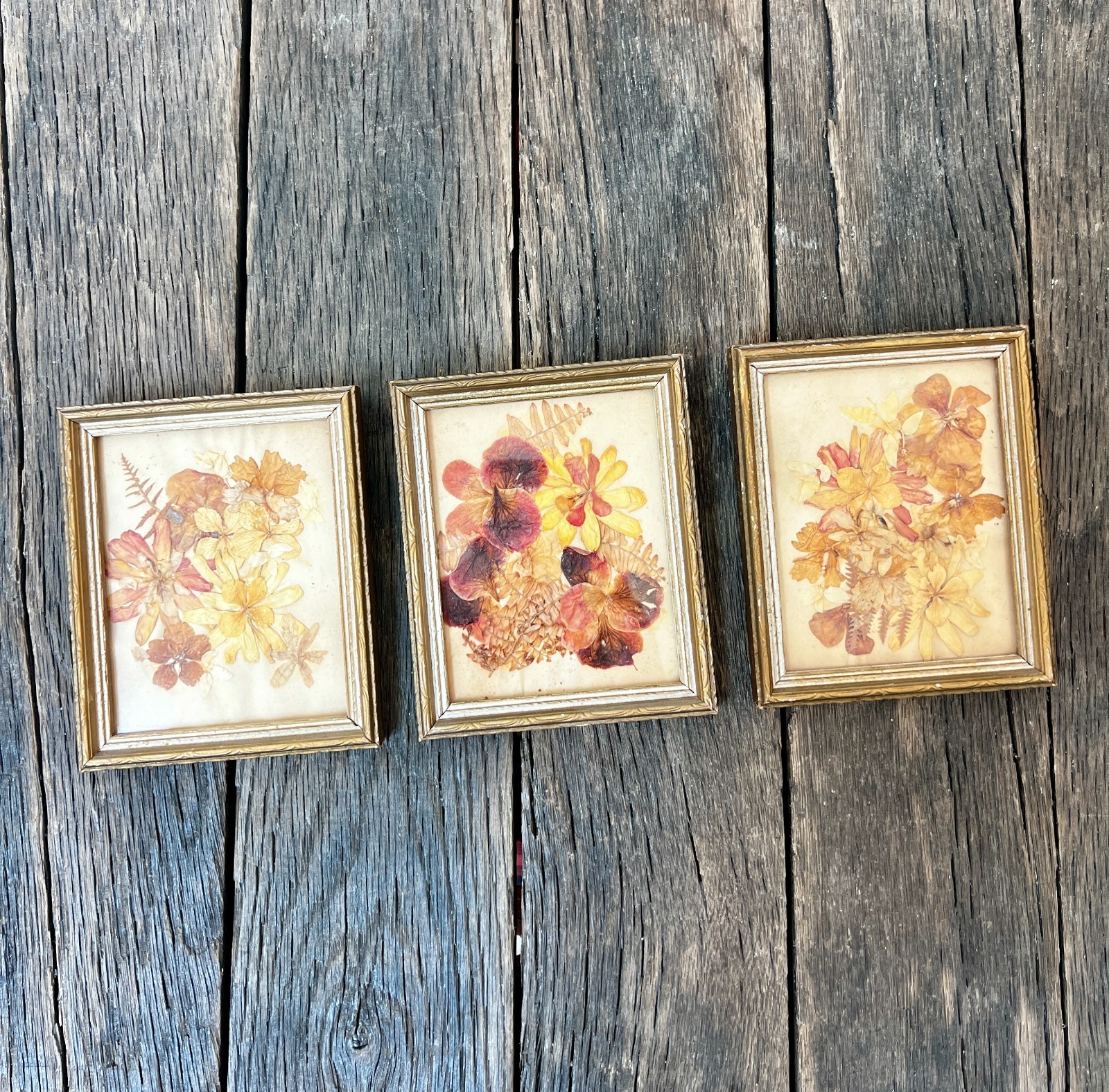 Vintage Dried Flower Artwork Set – Gold Wood Frame Wall Art (5 3/4″)