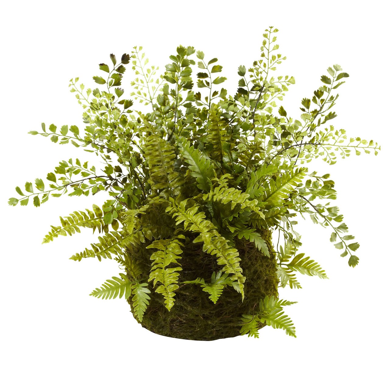 13″ Mixed Fern w/ Twig & Moss Basket