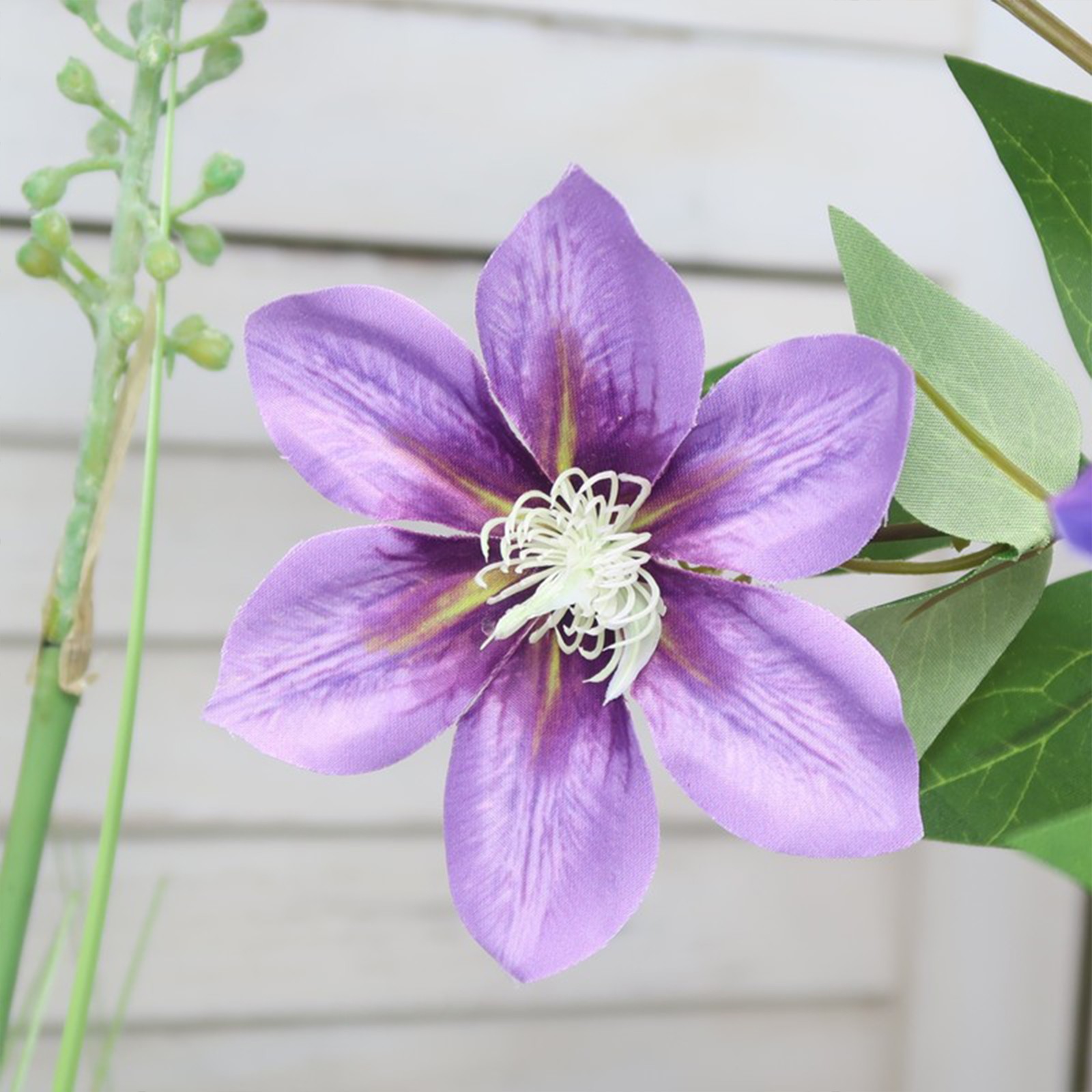 New European-style 5-headed Clematis – Deep Purple 85cm Tall Per Stem HOT