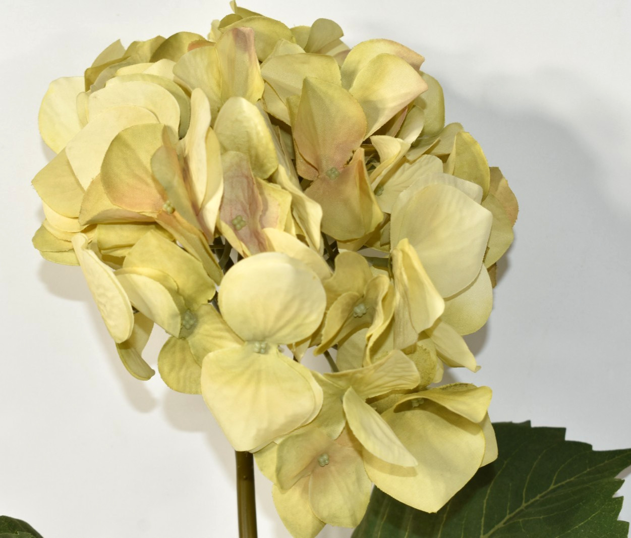 Pottery Barn Faux Hydrangea Ivory Branch Artificial Flower 26″ Stem NEW NOS