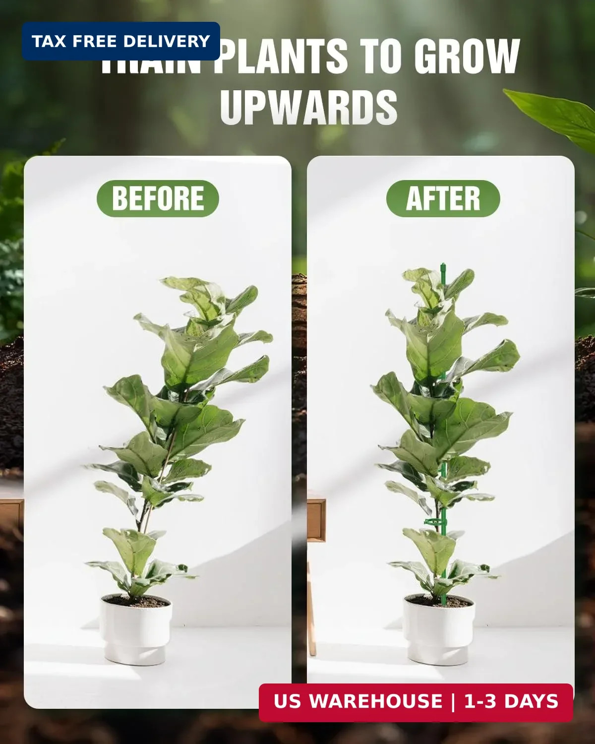 16 Pack 12 & 16 Inch Plant Support Stakes for Indoor & Garden | Adjustable heigh