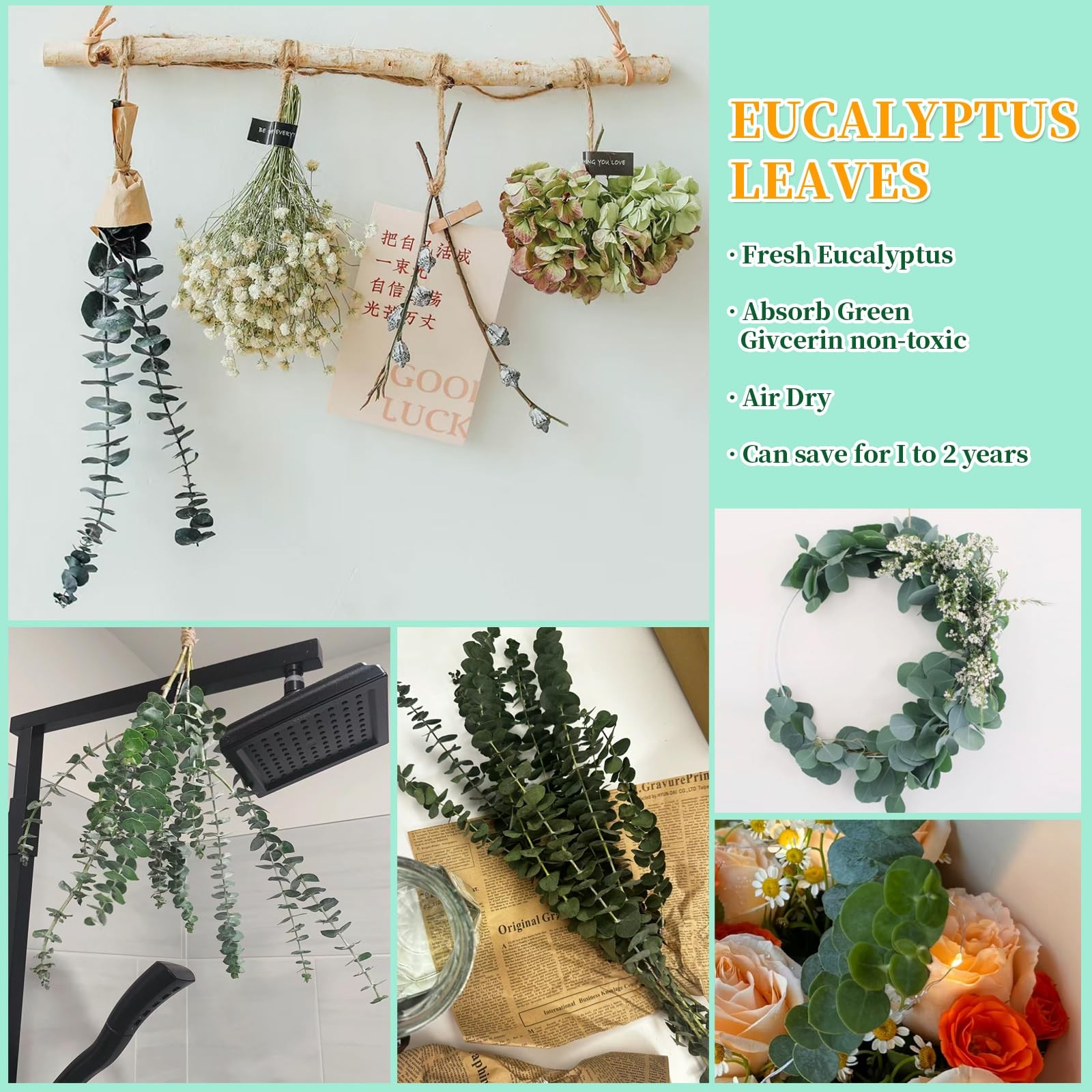 21 Pcs Real Dried Eucalyptus Stems, 17″ Natural Fresh Eucalyptus Branches | Show