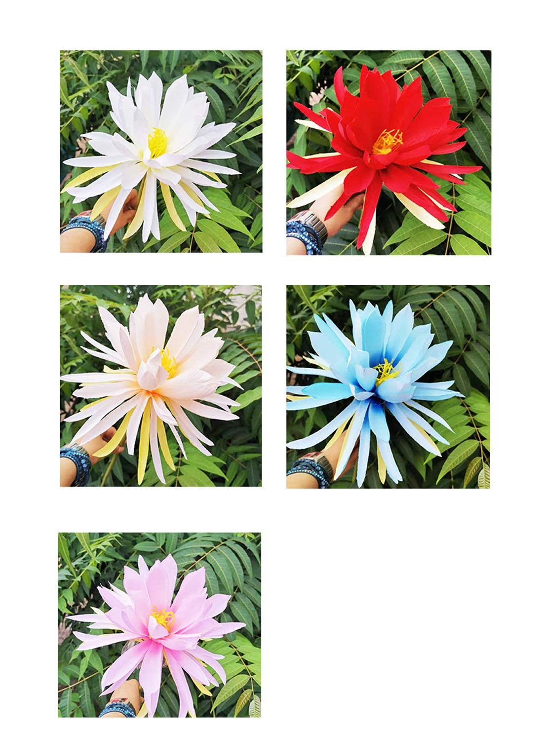 3 Stems Silk Broad-leaved Epiphyllum Night-Blooming Flowers Orchid Cactus Art…