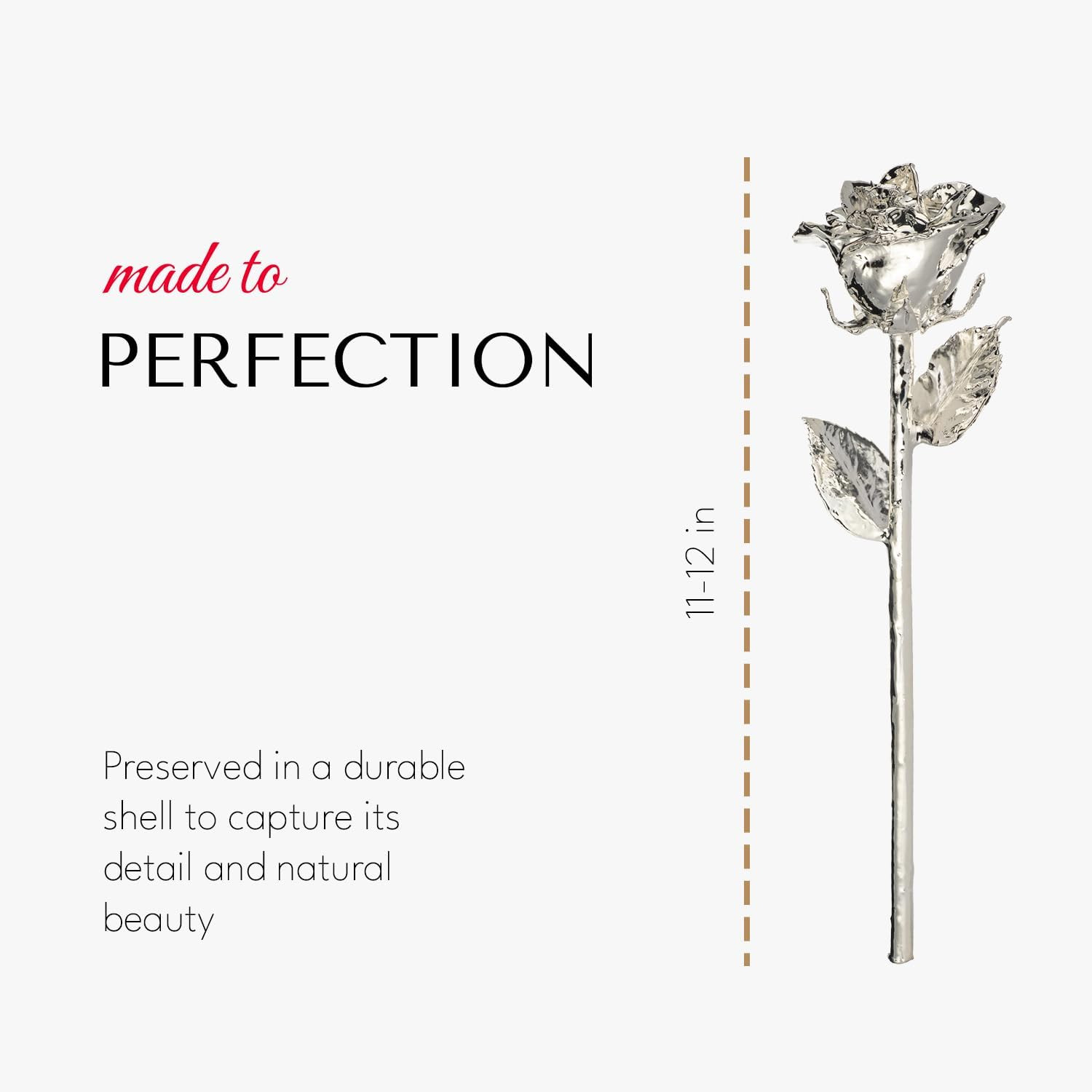 Genuine Hand-Dipped Silver Rose in Luxury Leather Case with LED Lights
