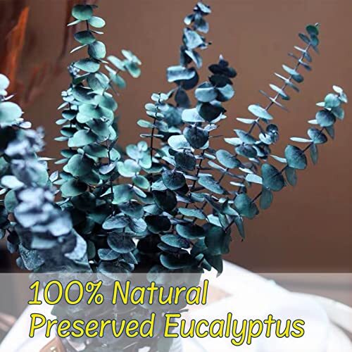 (16Pcs) Preserved-Dried-Eucalyptus-Stems,17″ Real Natural Eucalyptus Plant Live