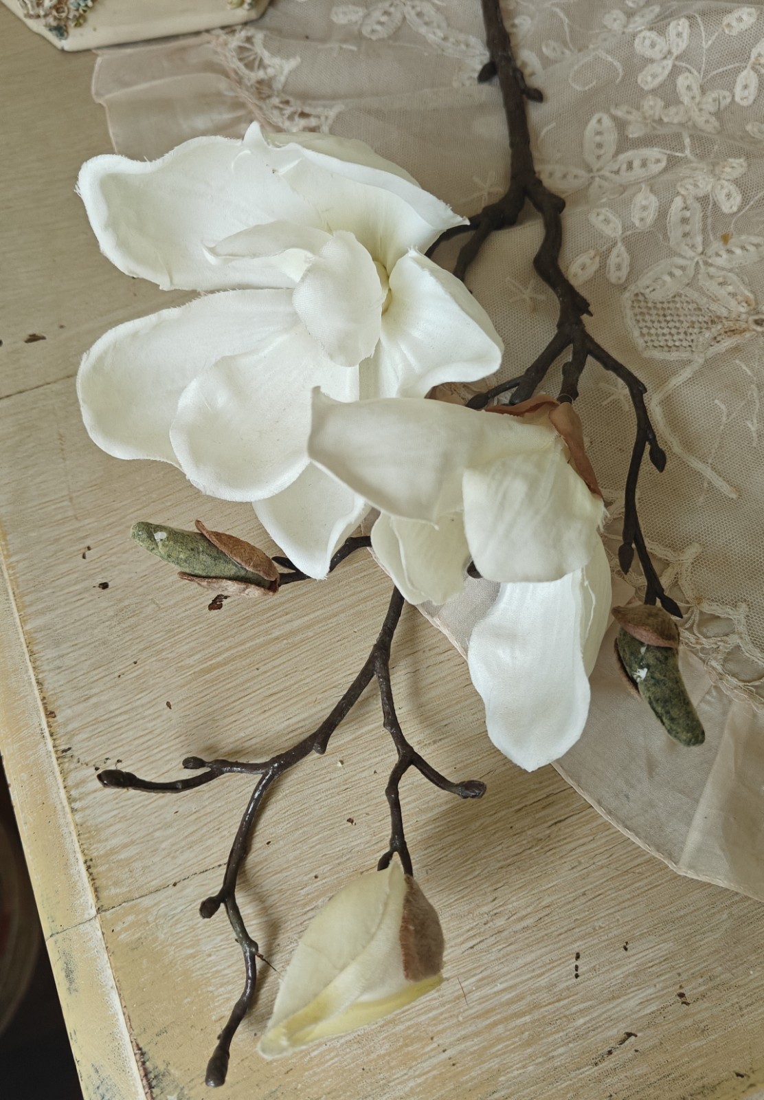 2 Large Stemmed Stems Iris And Magnolia Realistic