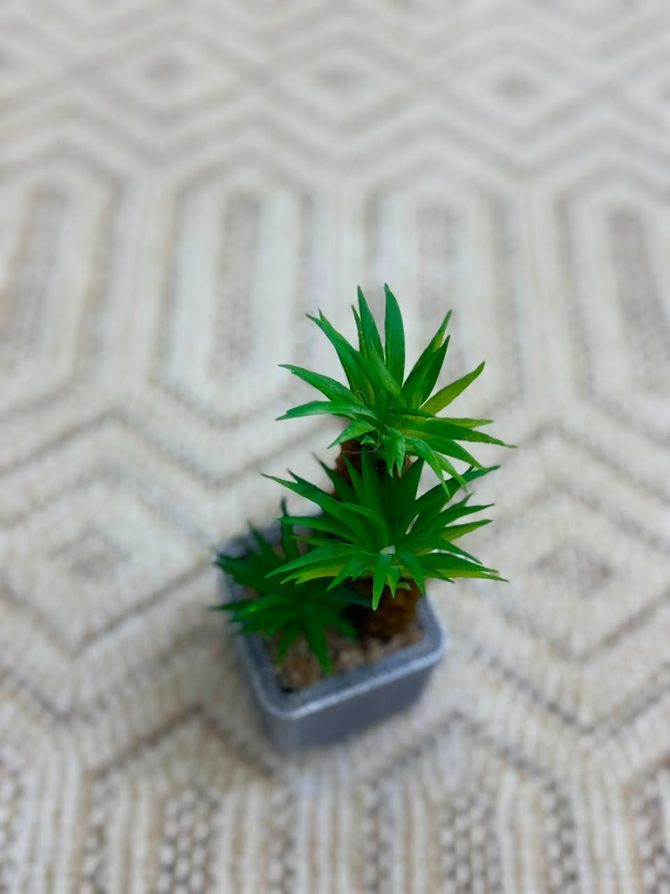 Mini Artificial Potted Palm Tree Fake Greenery Plant Woven Pot Desk Shelf Decor