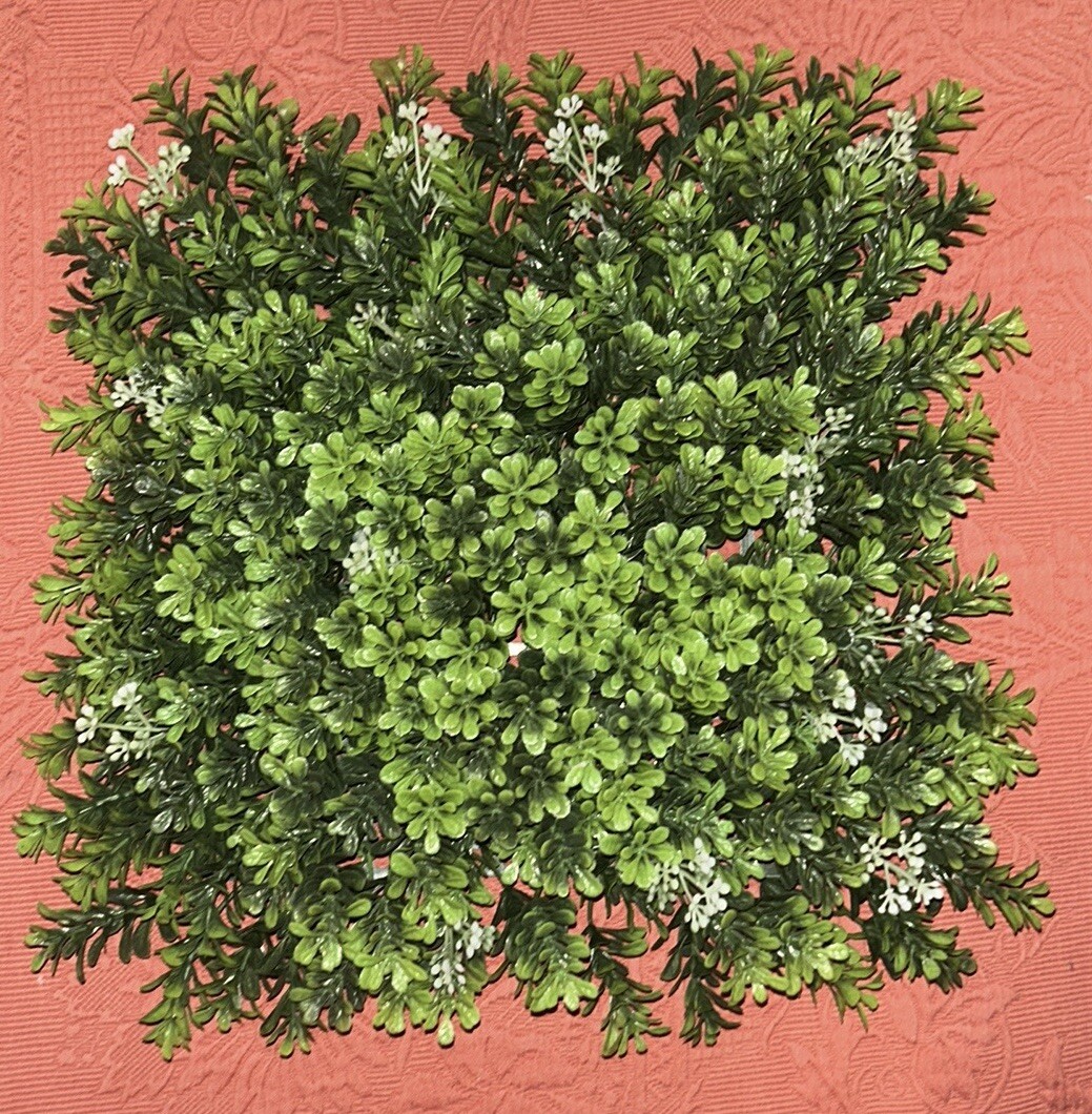 Boxwood Mat/Panel, 10” X 10”