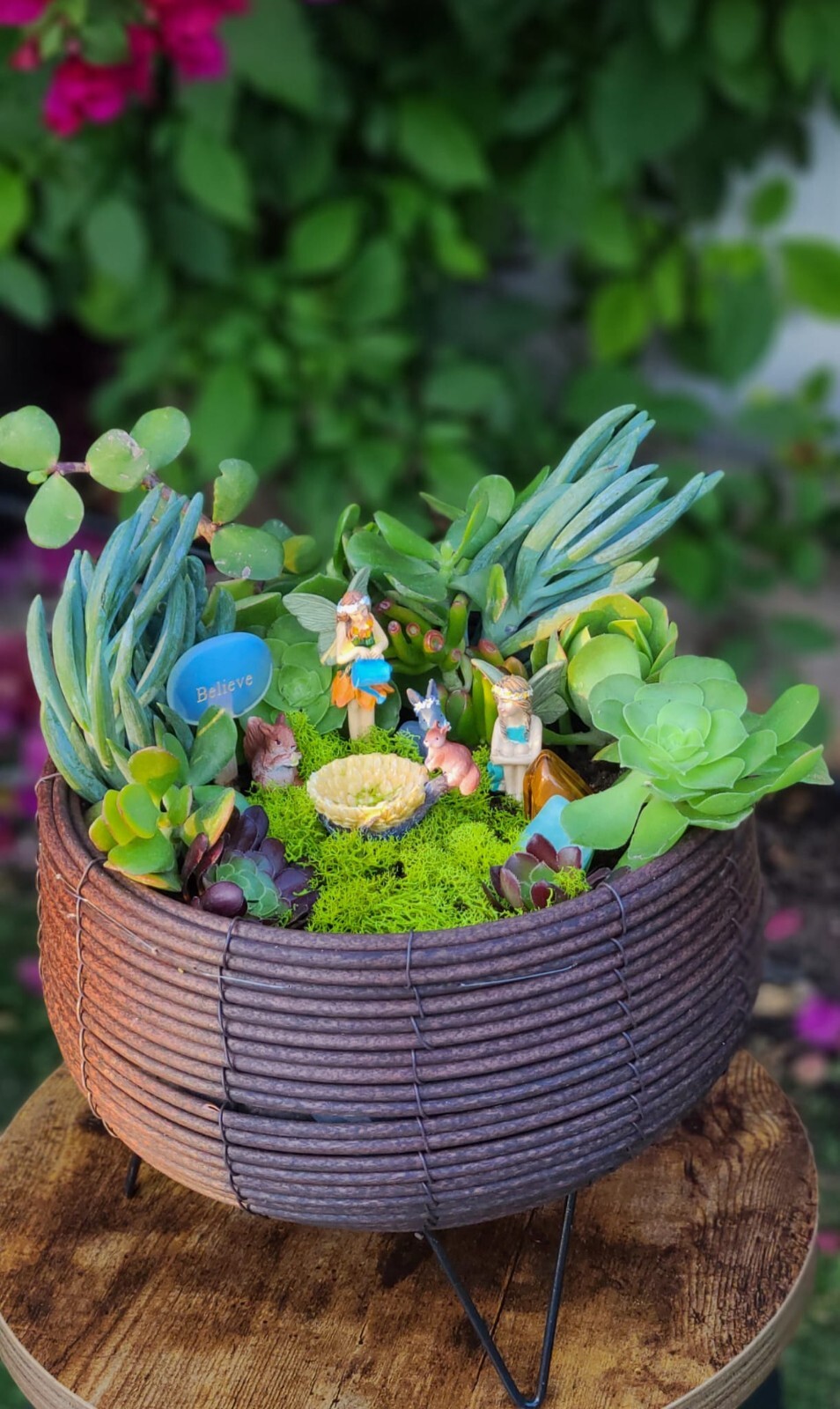 Mini Zen Garden with Natural Succulents + crystals for the Interior of the Home