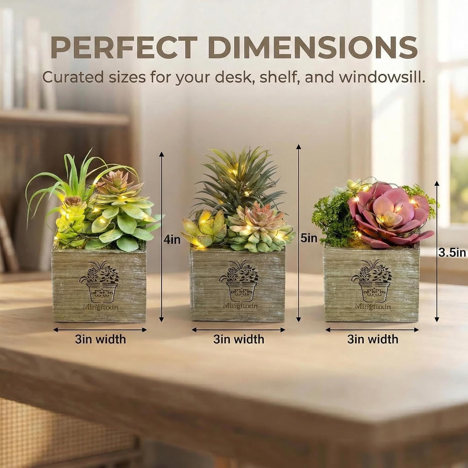 Mini Succulent Plants with LED Lights – 3 Pack for Home & Office Decor