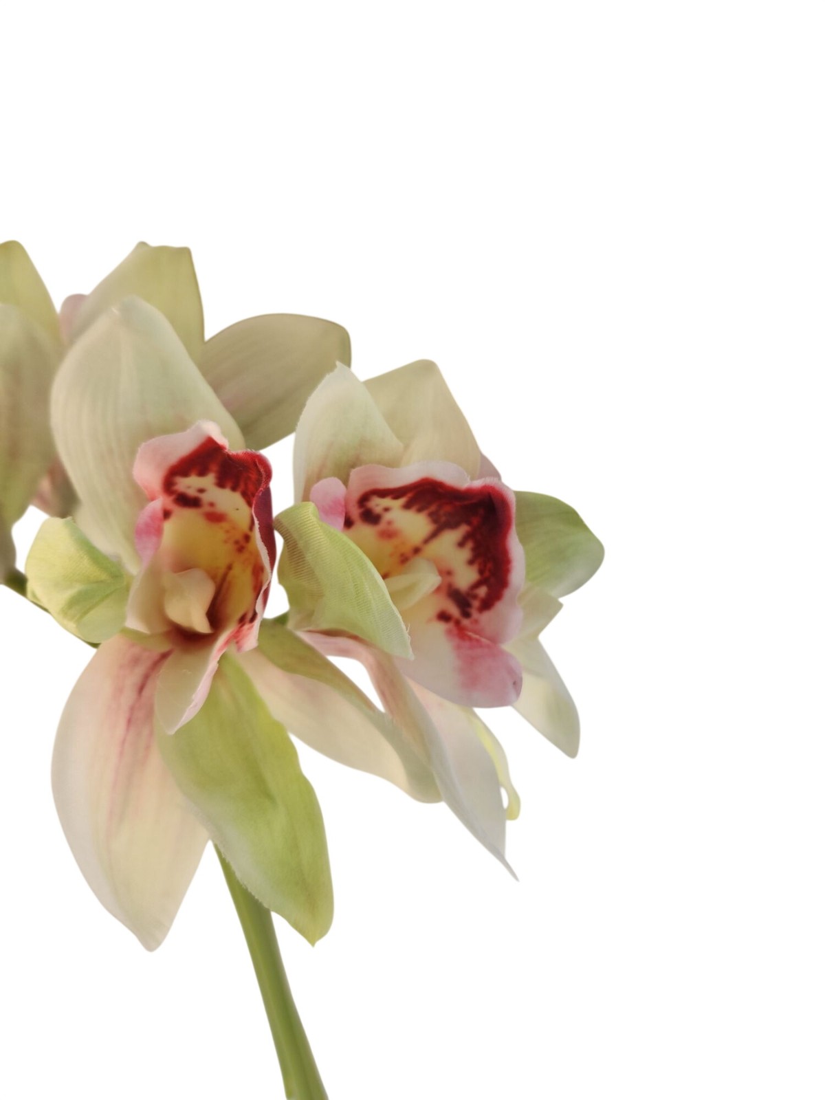 Artificial Cymbidium Orchid Stems Cream Green Burgundy Faux Orchid Bouquet Reali