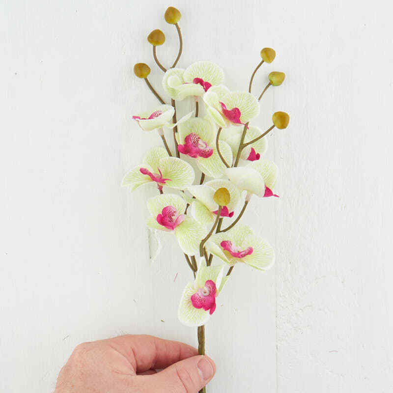Artificial Cream and Green Phalaenopsis Orchid Sprays