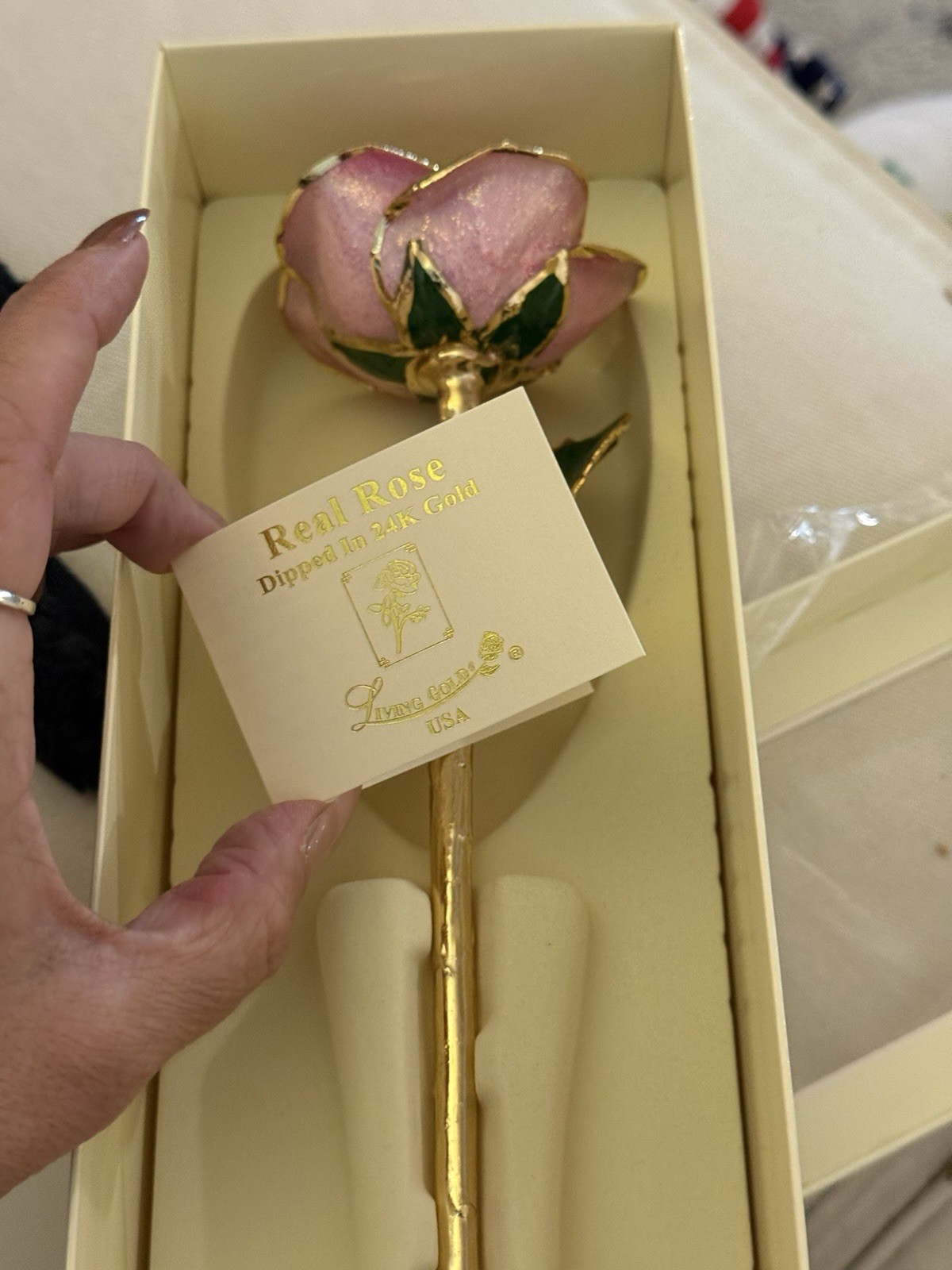 real rose dipped in 24k gold in Plum