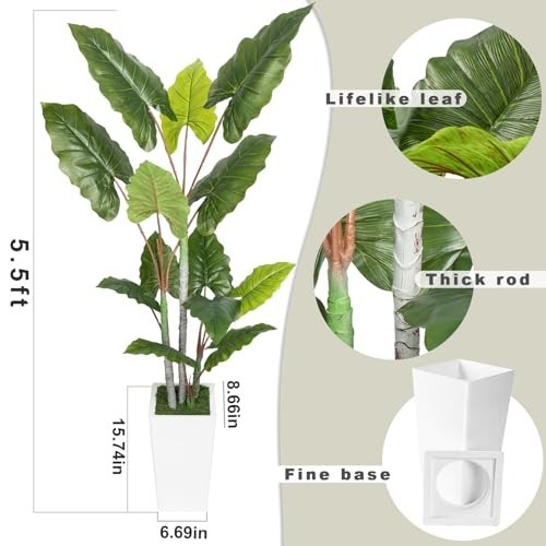 5.5FT Artificial Plant – Faux Silk Tree with White Planter – Indoor Floor Decor