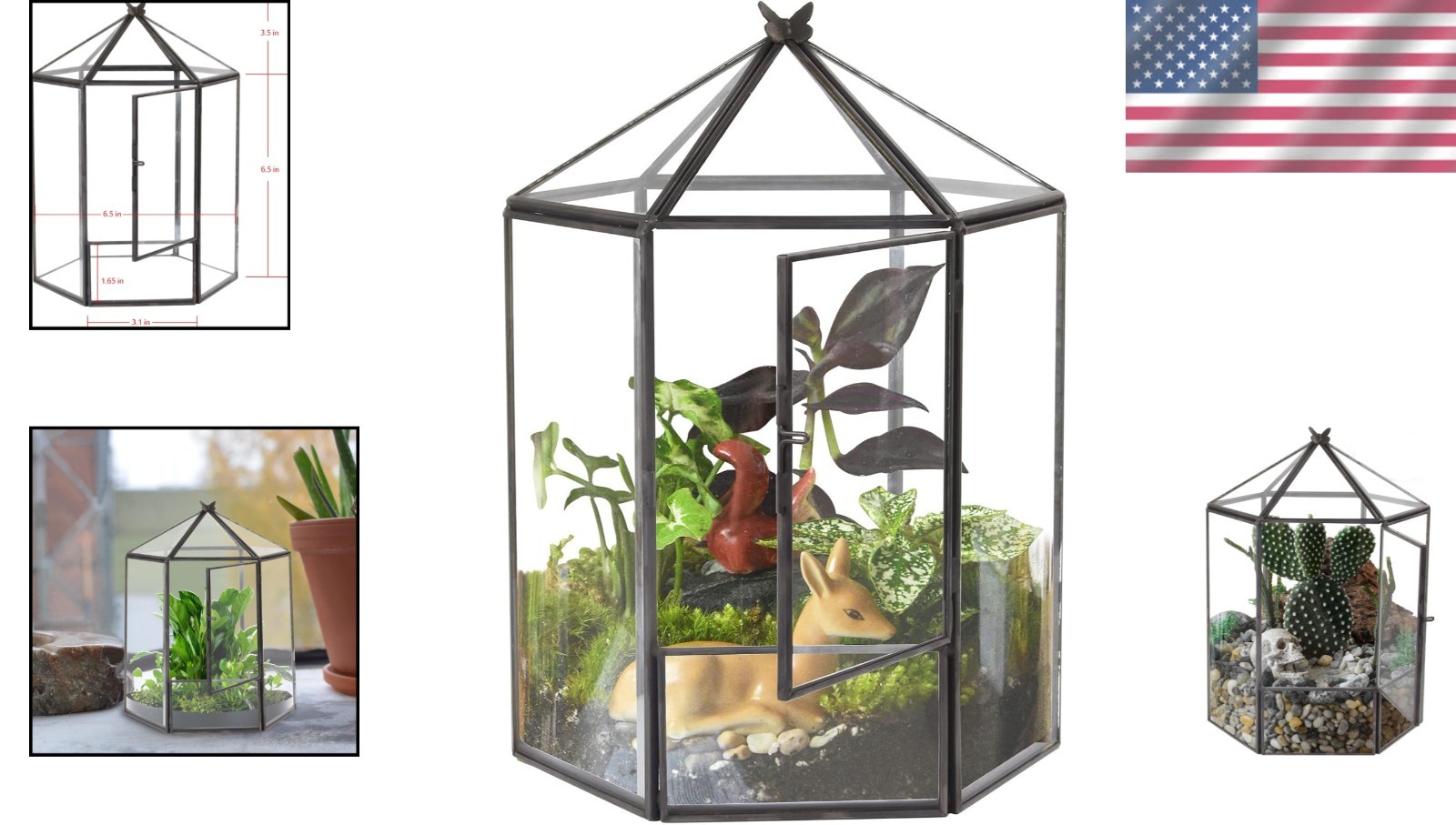 Hexagonal Black Plant Terrarium Kit