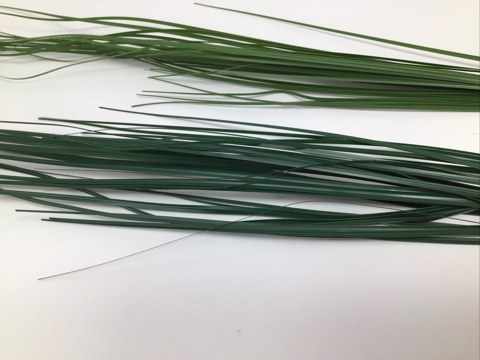Onion Grass Floral Pick Green 27” Arrangement Basket Filler 2 Picks NOS