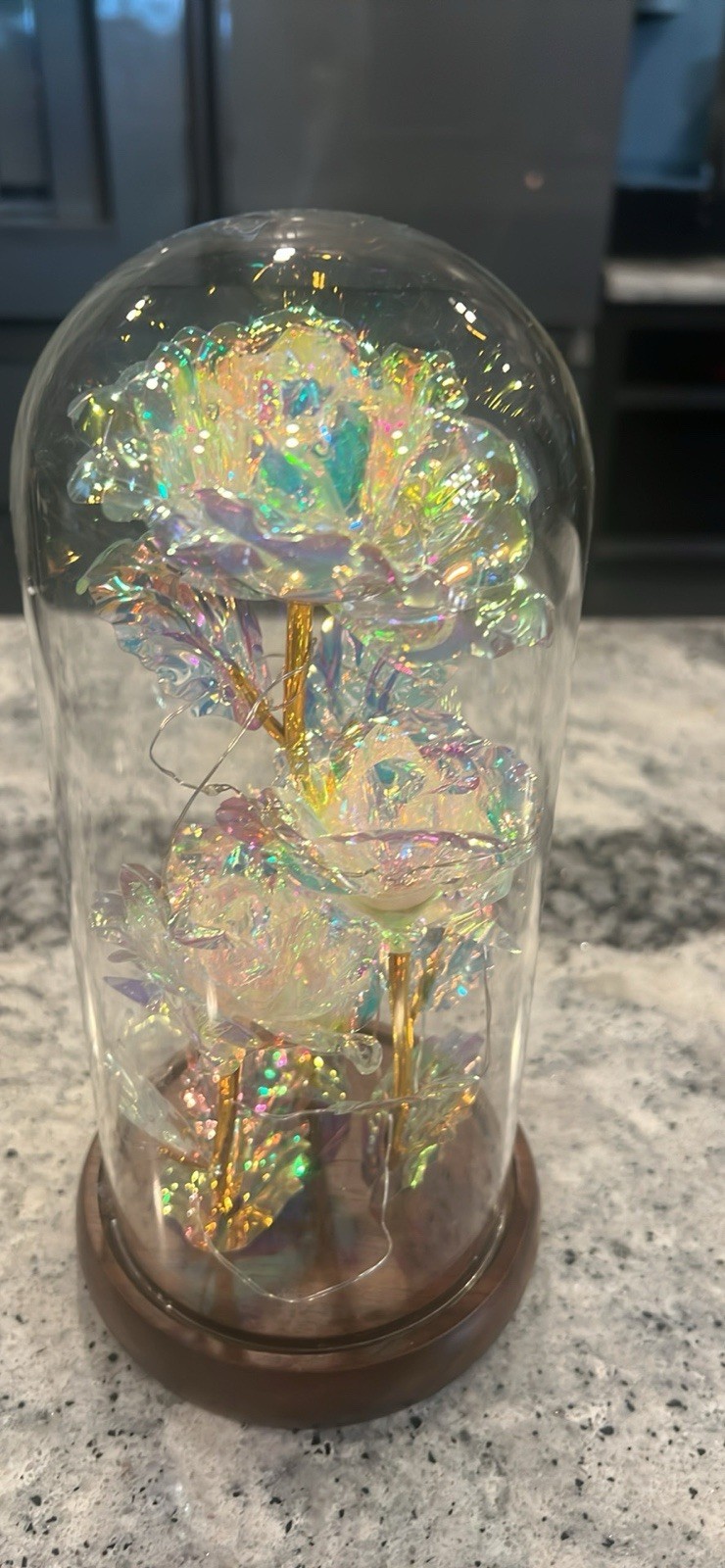 Eternal Rose, Glass Dome Galaxy Rose Light- Lamp Or Nightlight – Flower Decor