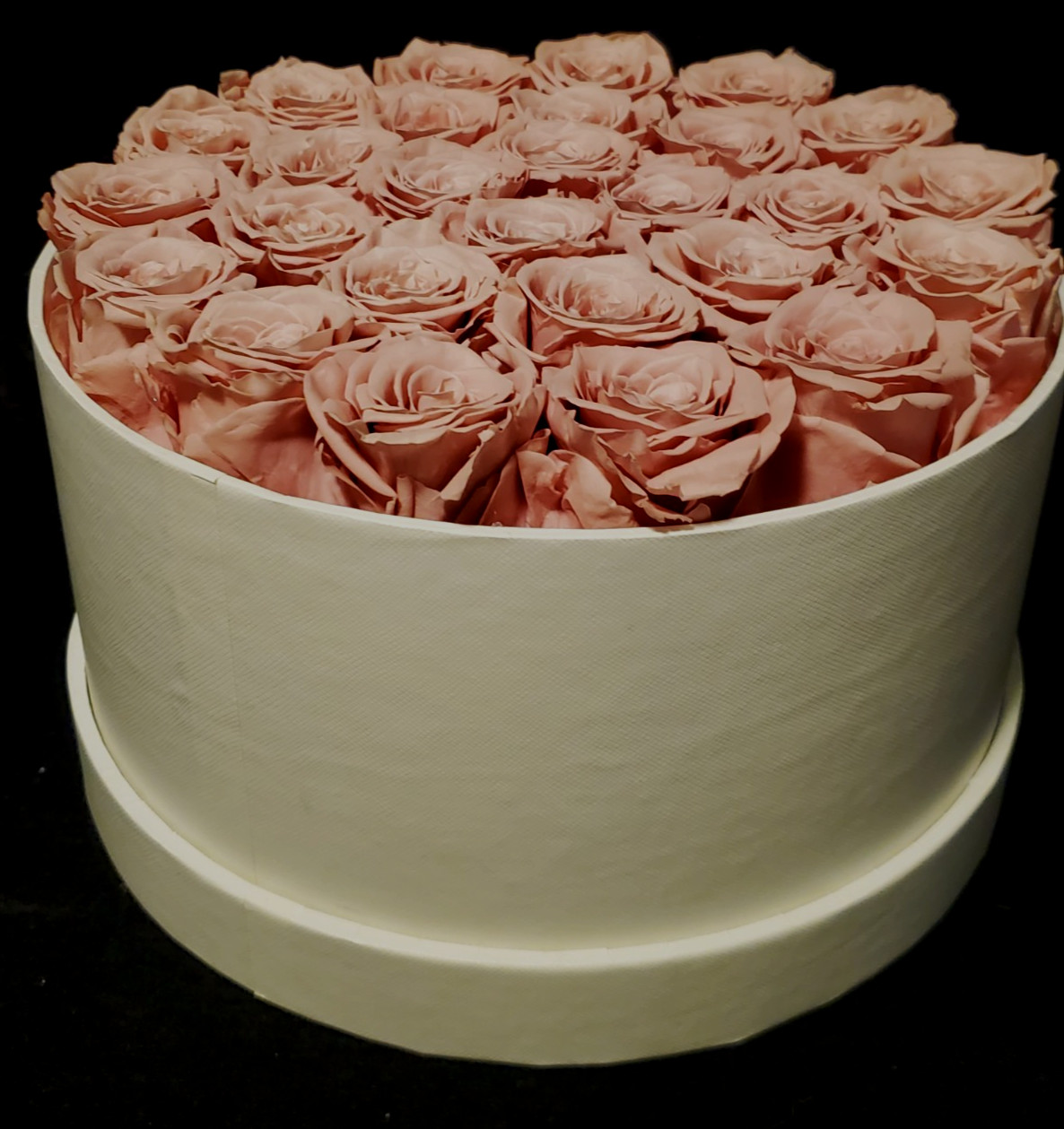 Perfectione Preserved REAL PINK ROSES White Round Lidded Box ~ Lasts 3-5 Years