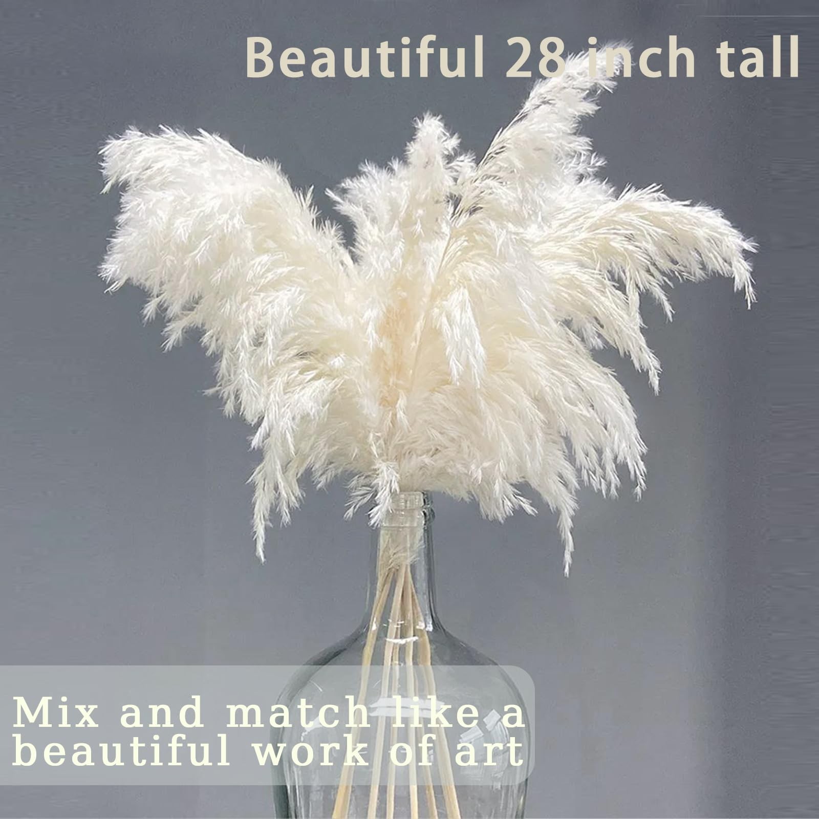 30 Stems 28″ inch Large White Pampas Grass Fluffy, Boho Home Decor, Natural F…