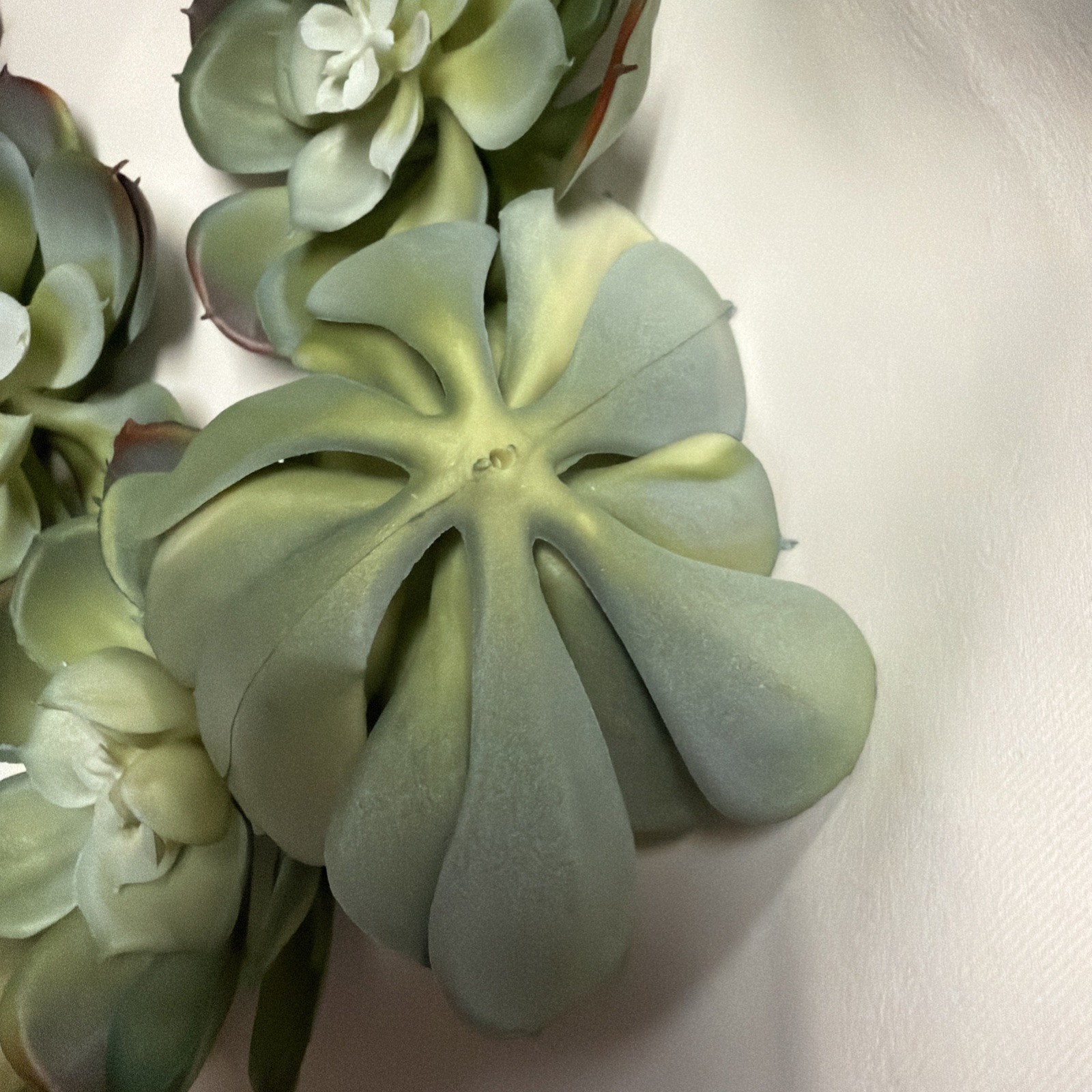 Succulents Plants Artificial 10 Pcs Realistic Premium Fake 4” Succulents NEW
