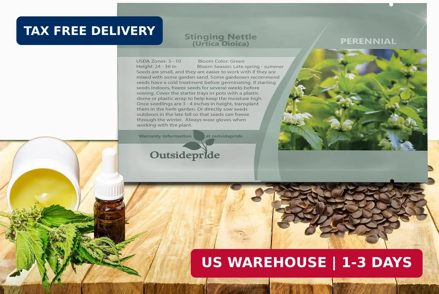 Outsidepride Stinging Nettle Seeds – 10000 Pcs Perennial and Low Maintenance Her