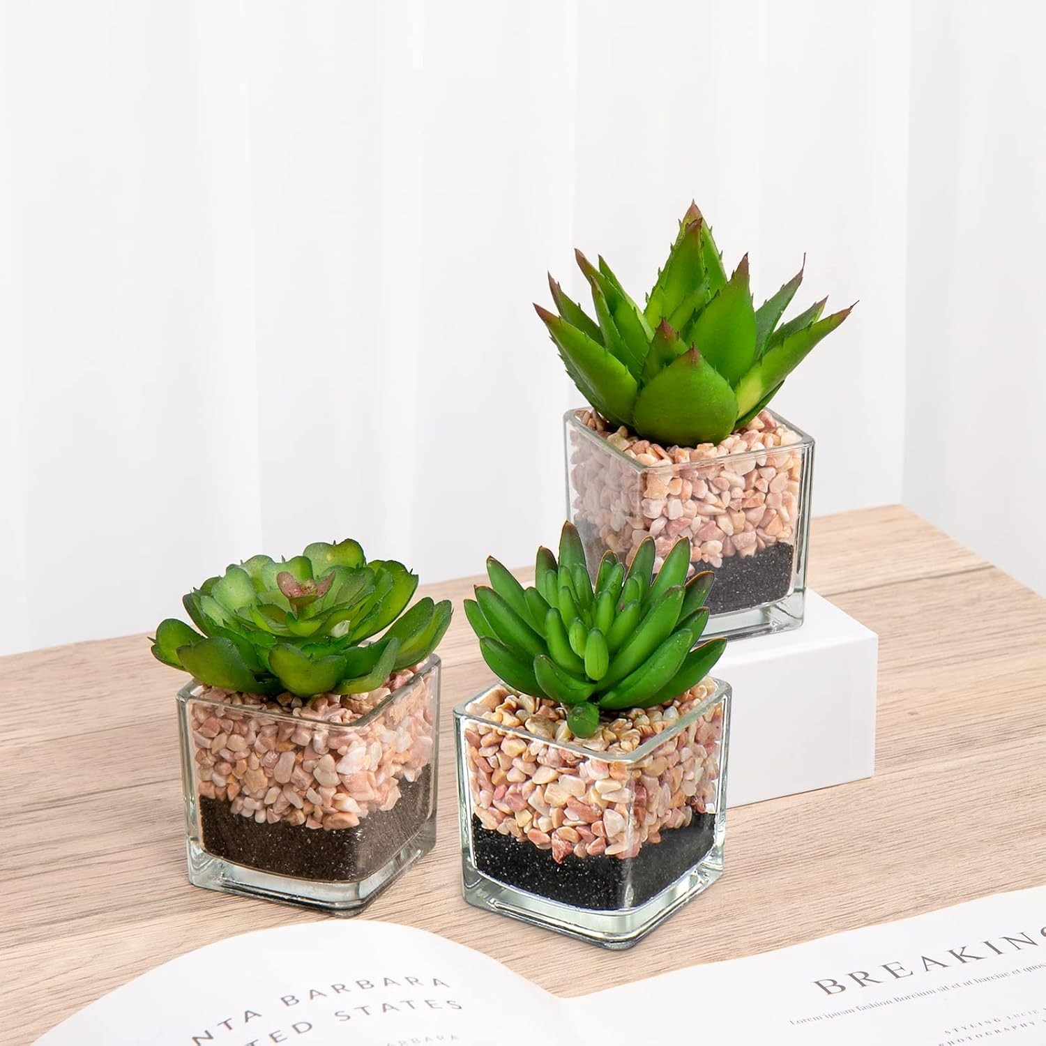 Set Of 3 Succulents Plants Artificial In Glass Pots Small Fake Succulents Plants