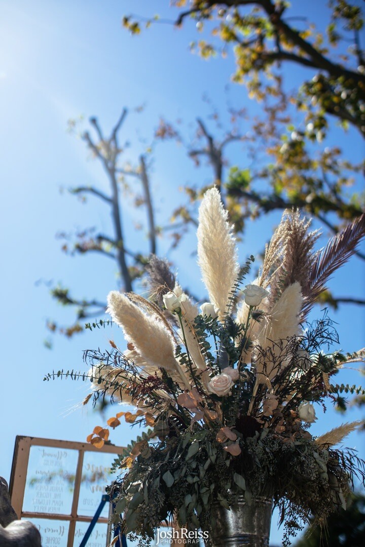 Dried flowers- Box of 10 (36”) natural white beige pampas grass