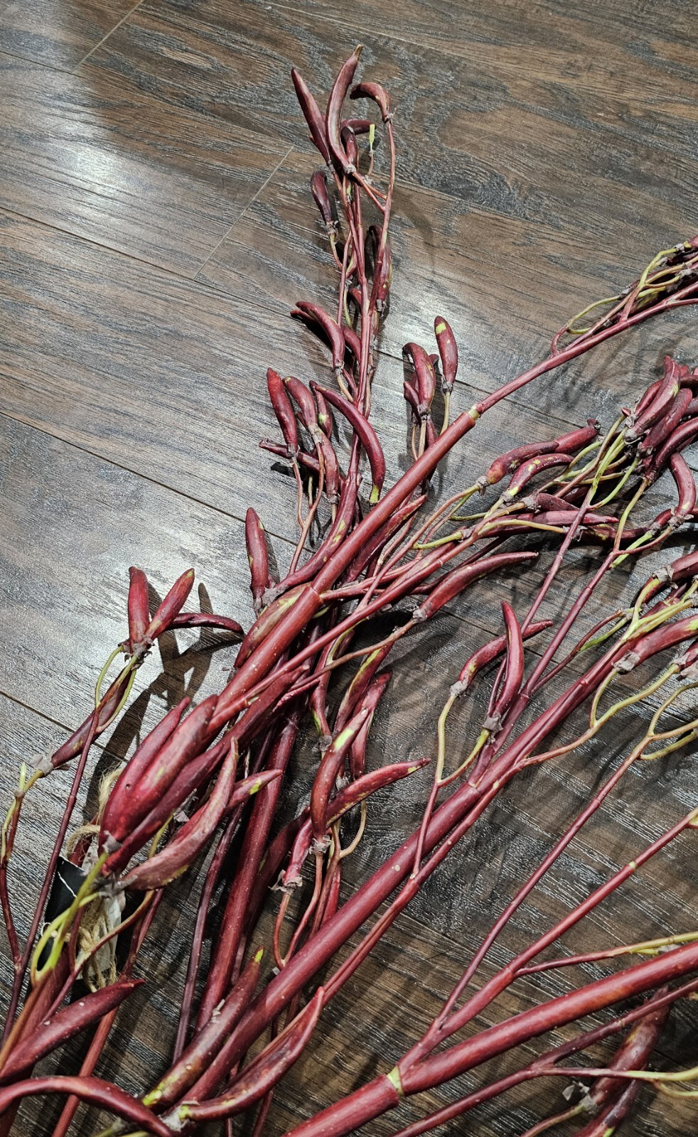 Lot 4 Artificial Bean Pod Branch Fake Plant Home Decoration Photography Props