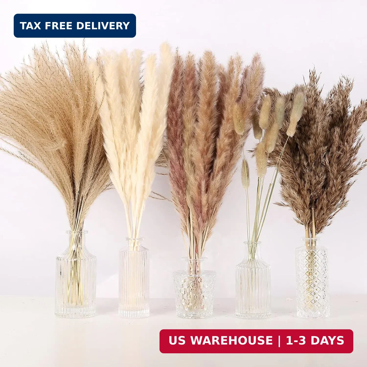 N&T NETING Dried Pampas Grass Decor- White Pampas Grass, Brown Pampas, Bunny Tai