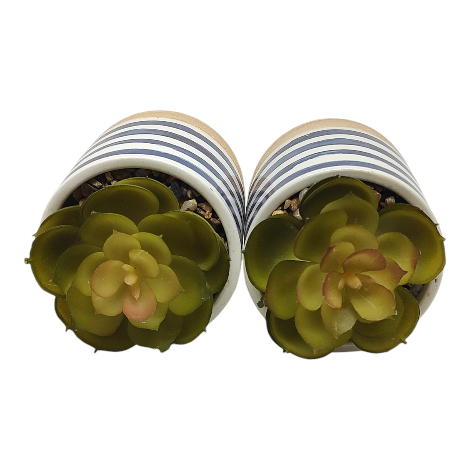 Set of 2 Faux Succulents In Ceramic Pots Rustic Coastal Small Artificial Plants