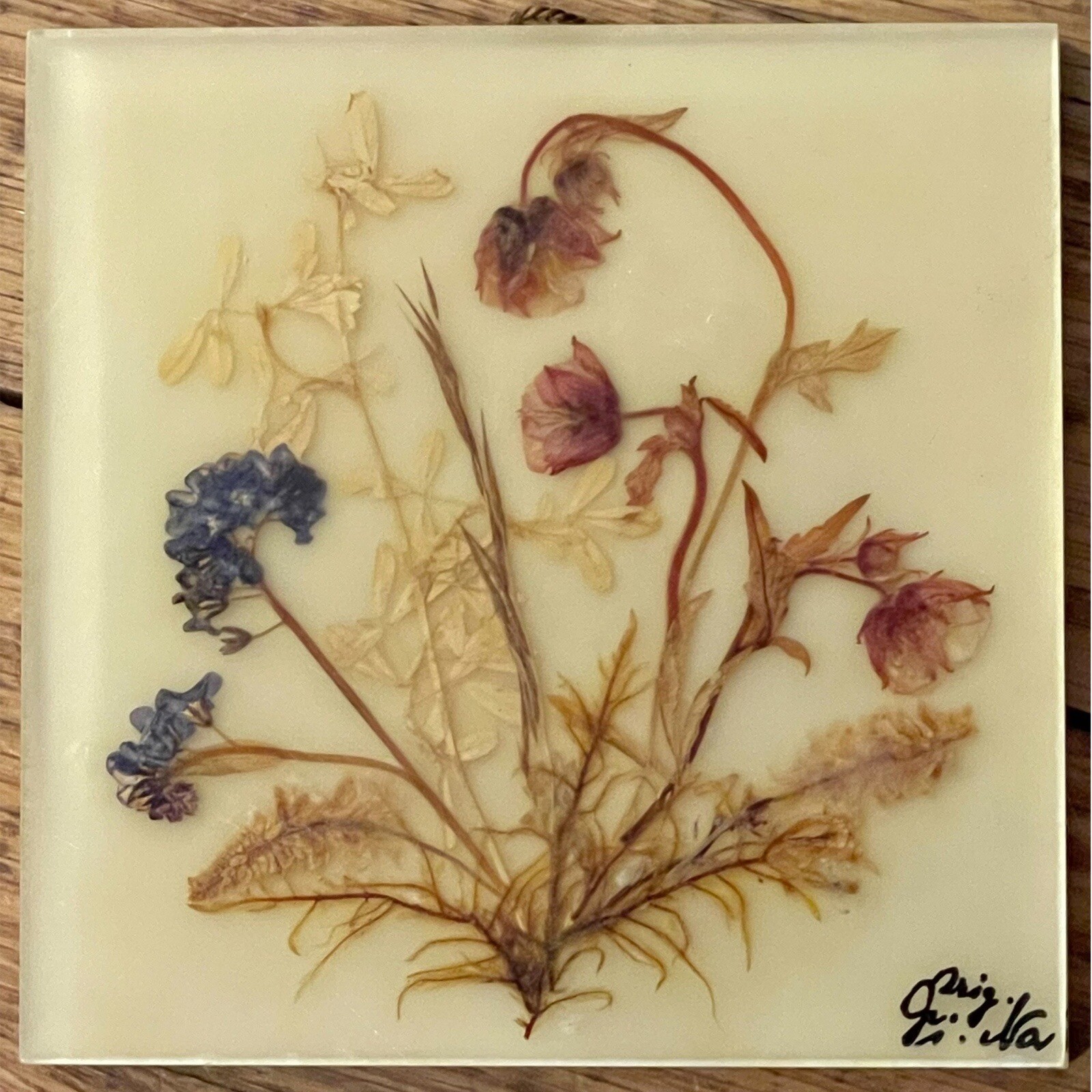 Dina Acrylglass Handmade Natural Dried Flower Germany Bavarian Alps Wall Hanging