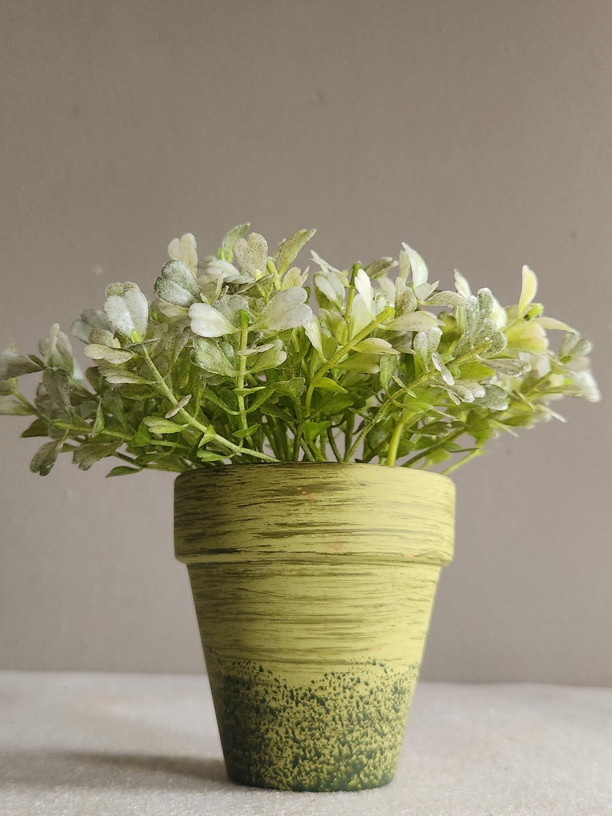 Small Green Ceramic Flower Pot with Artificial Baby Tear Plant • Pot 3⅜” Tall