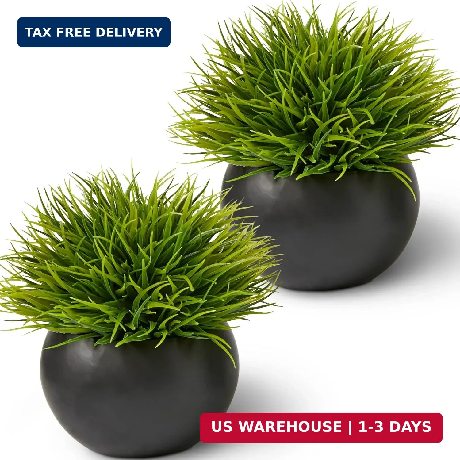 Fake Succulents Plants Artificial in Premium Ceramic Pots (2 Pack Round) Realist