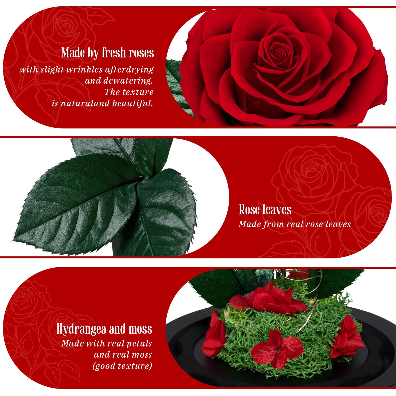 3 Preserved Flowers Roses in Glass Dome for Beauty and The Beast Decor Real R…