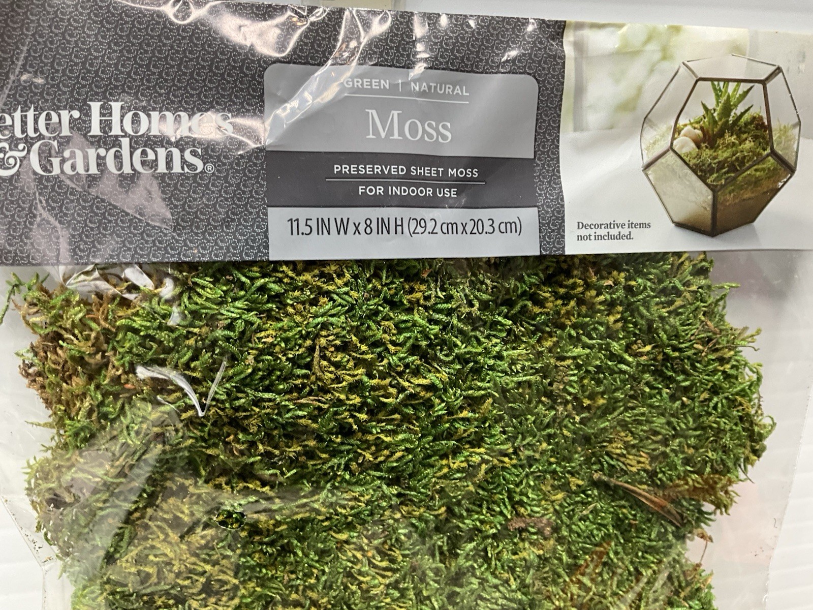 Better Homes & Gardens Sheet Moss Mini Trees Lot Village Zen Fairy Garden Poplar