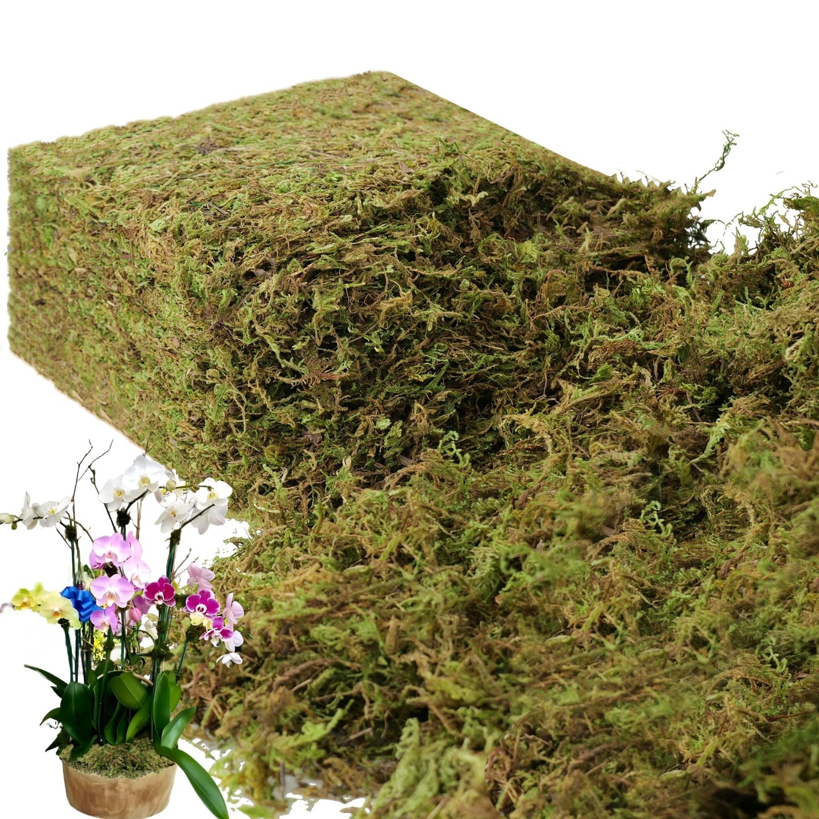 2.2LB Fresh Green Fake Moss for Indoor Plants & Crafts – Large Capacity Decor