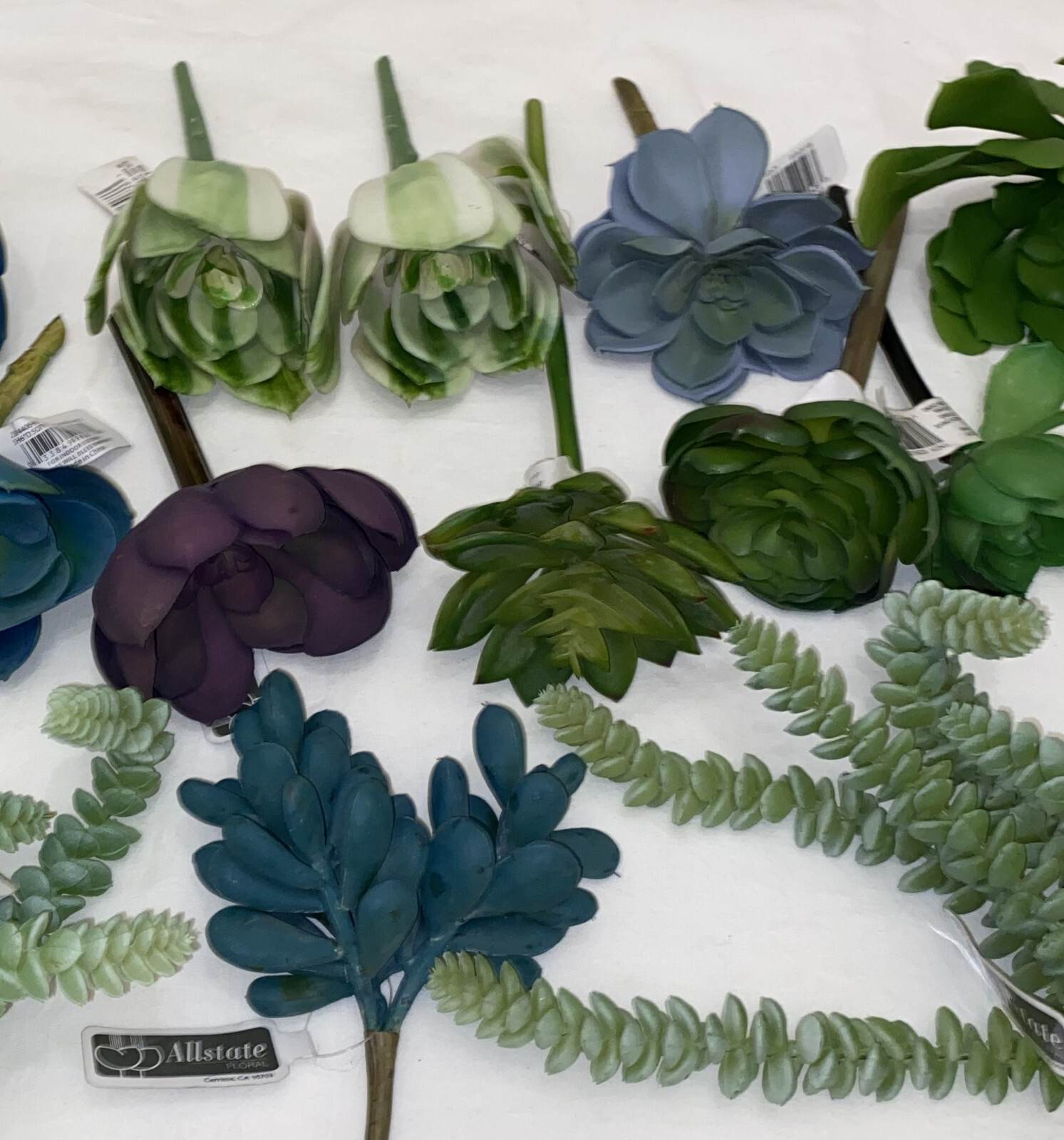 Artificial Succulent Plant Flowers Assorted Lot Preowned W Tags Pier 1 Allstate
