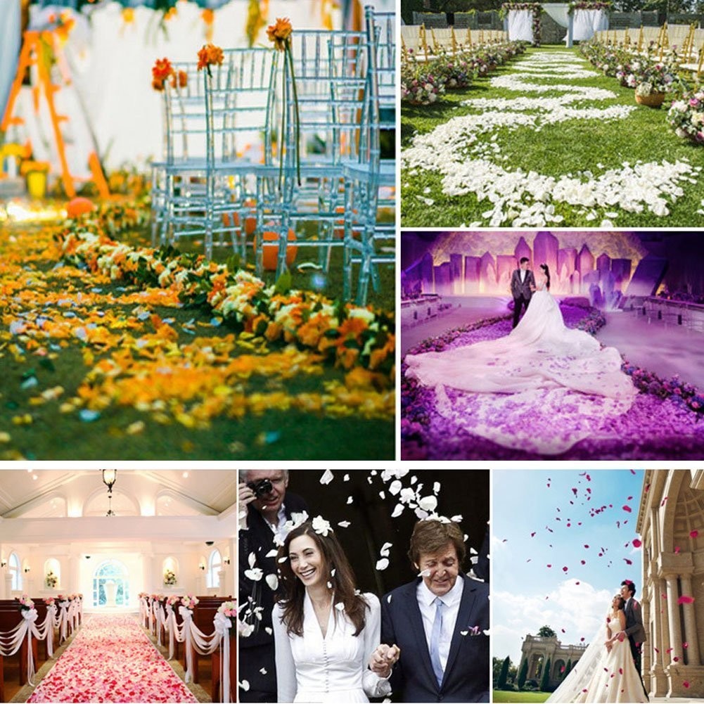 1000pcs Rose Petals Artificial Silk Flower Rose Petals for Wedding Decoration…