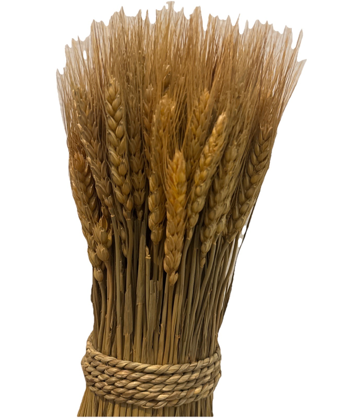 Decorative Wheat Bundle Standing Plant – Gold – 15.5, Place A Bid