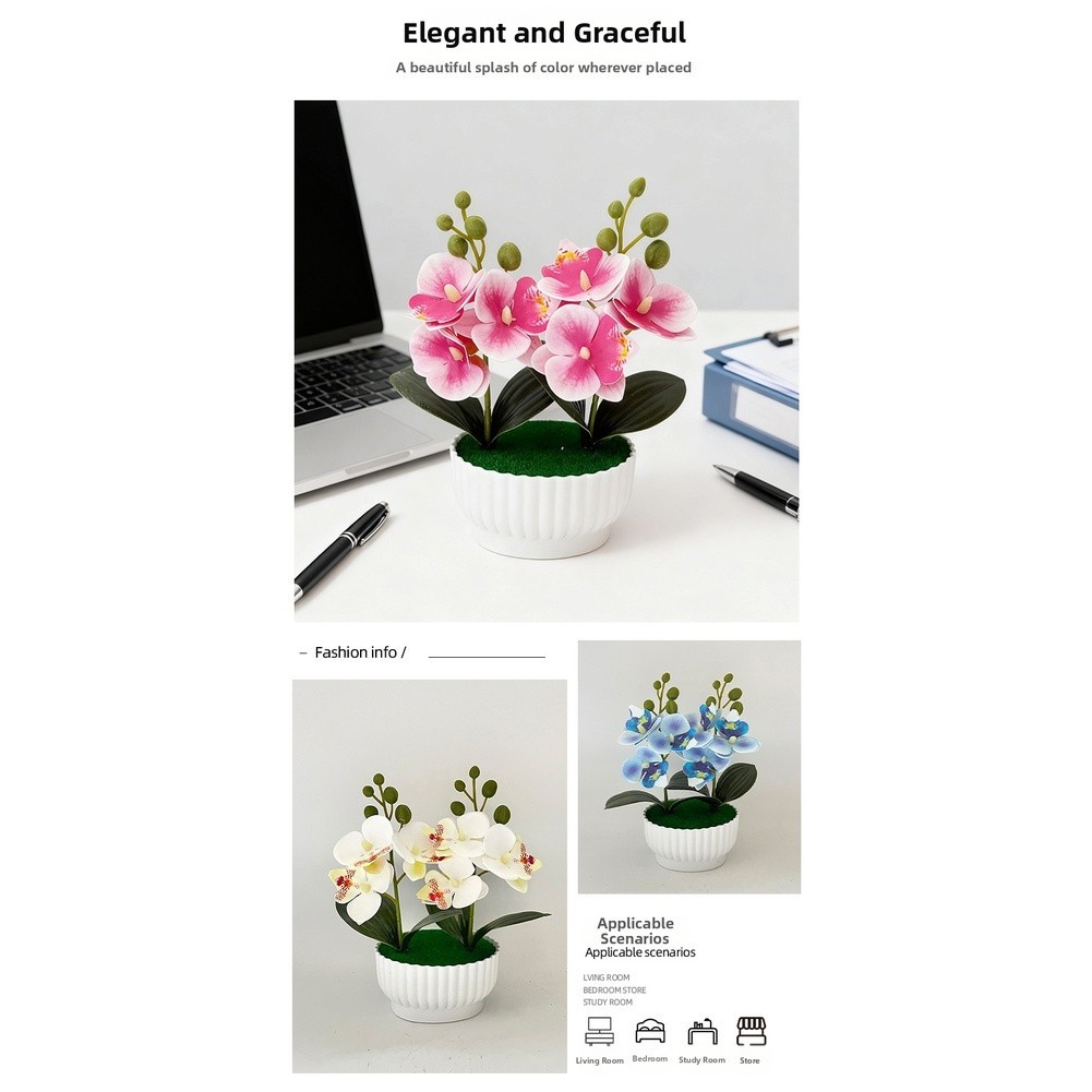 Phalaenopsis Orchid Simulation Potted Flower for Contemporary Interior Design