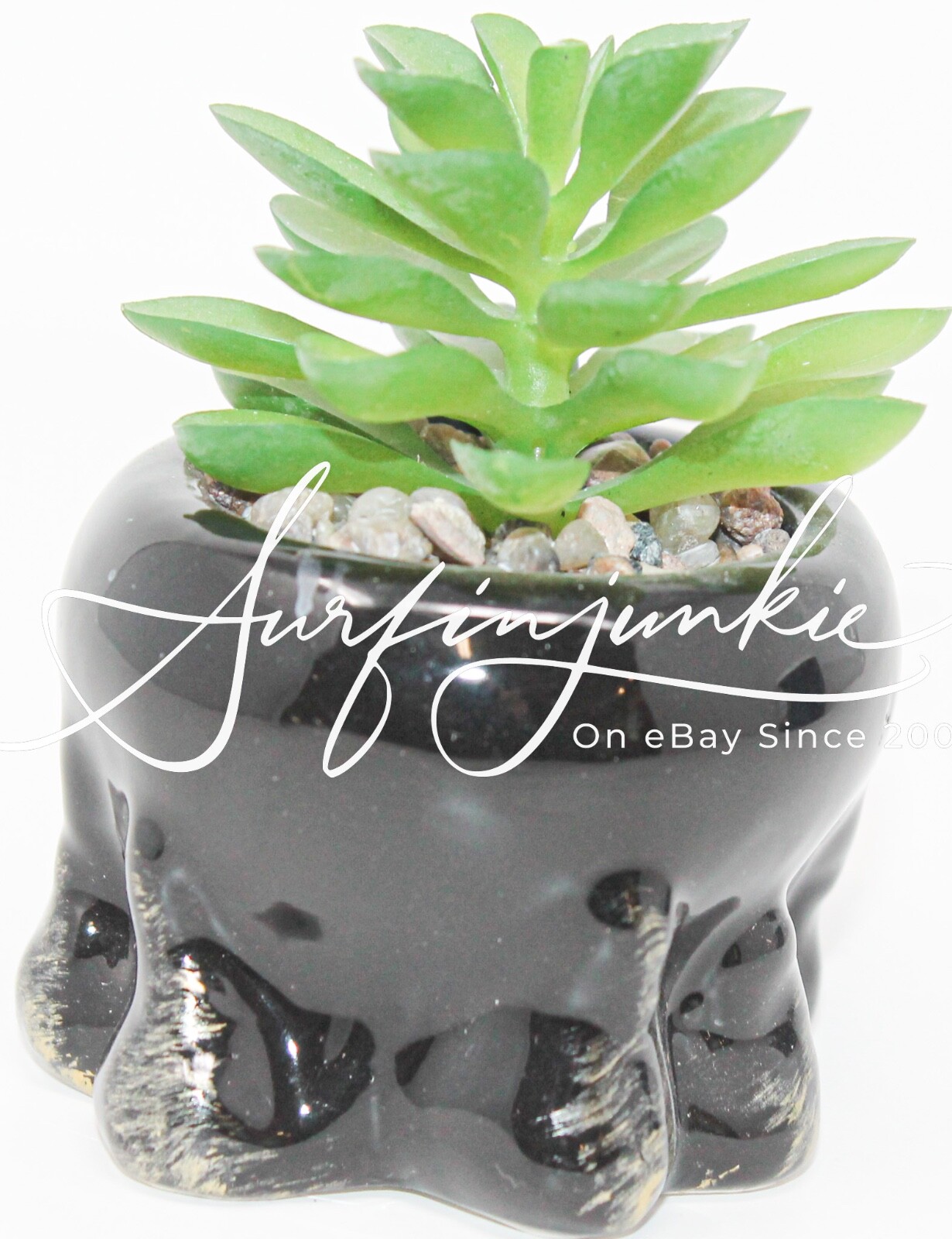 Day of the Dead Mini Succulent Faux Cactus Plant Statue La Muerte Dia De Los