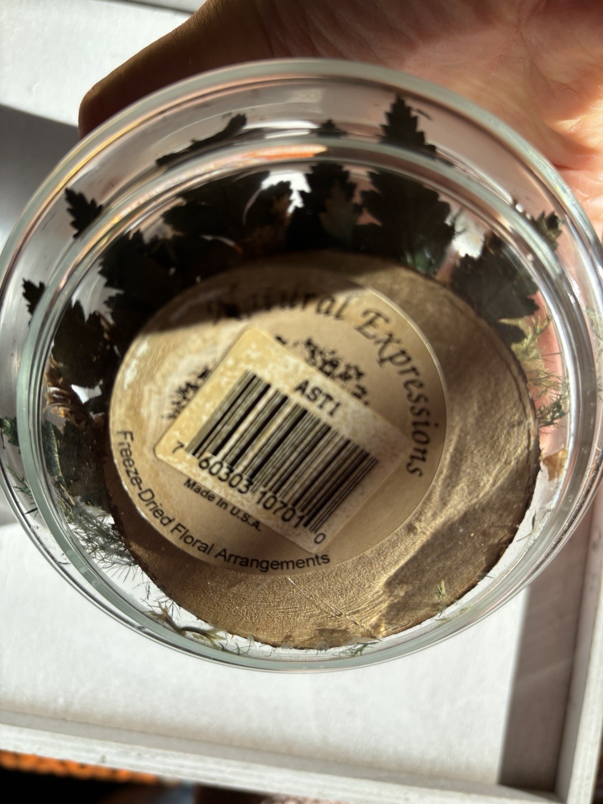Natural Expressions Freeze-Dried Rose Arrangement in Glass Jar, Peach Green