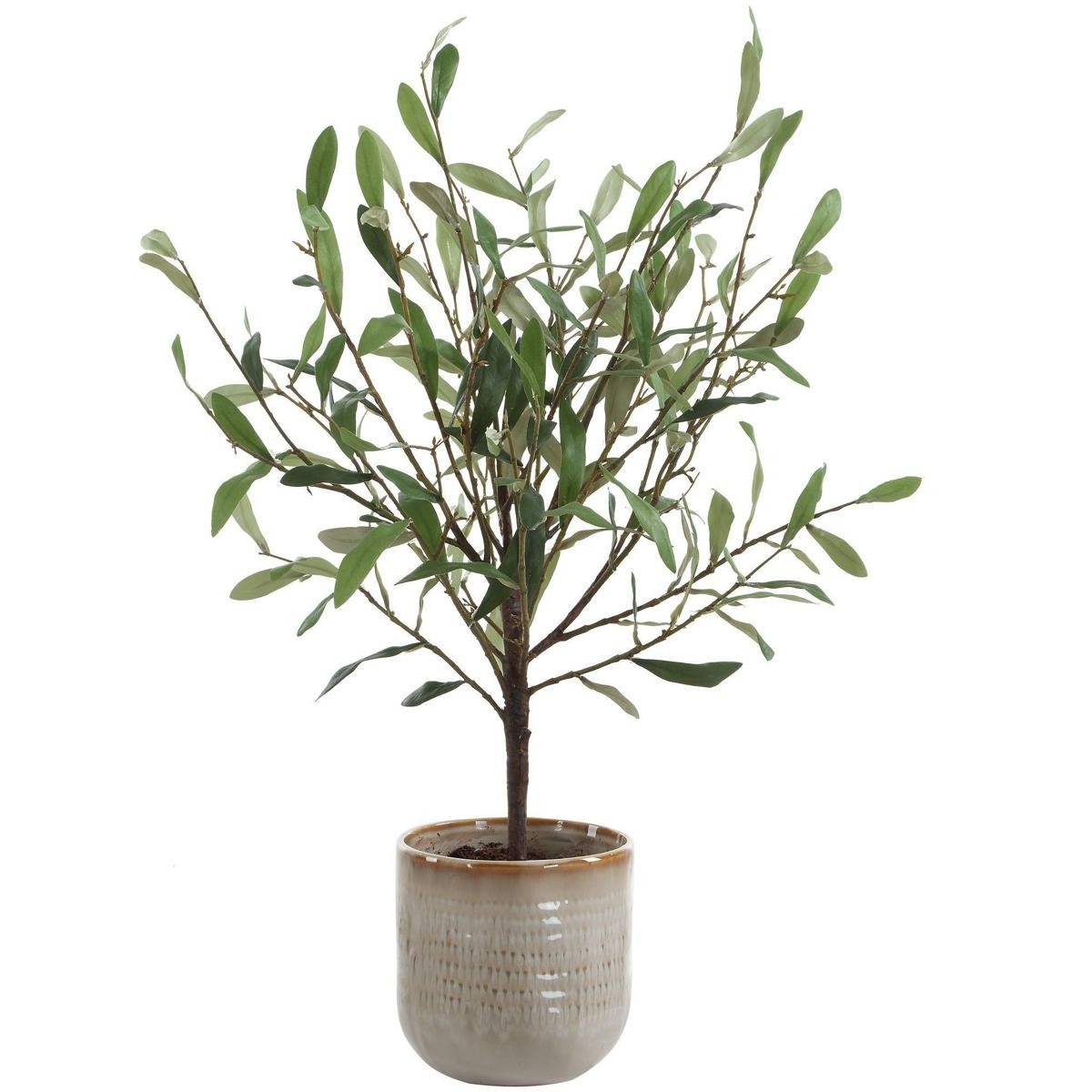 Uttermost 60264 Solea Olive Neutral Tan and Green Accent & Vase