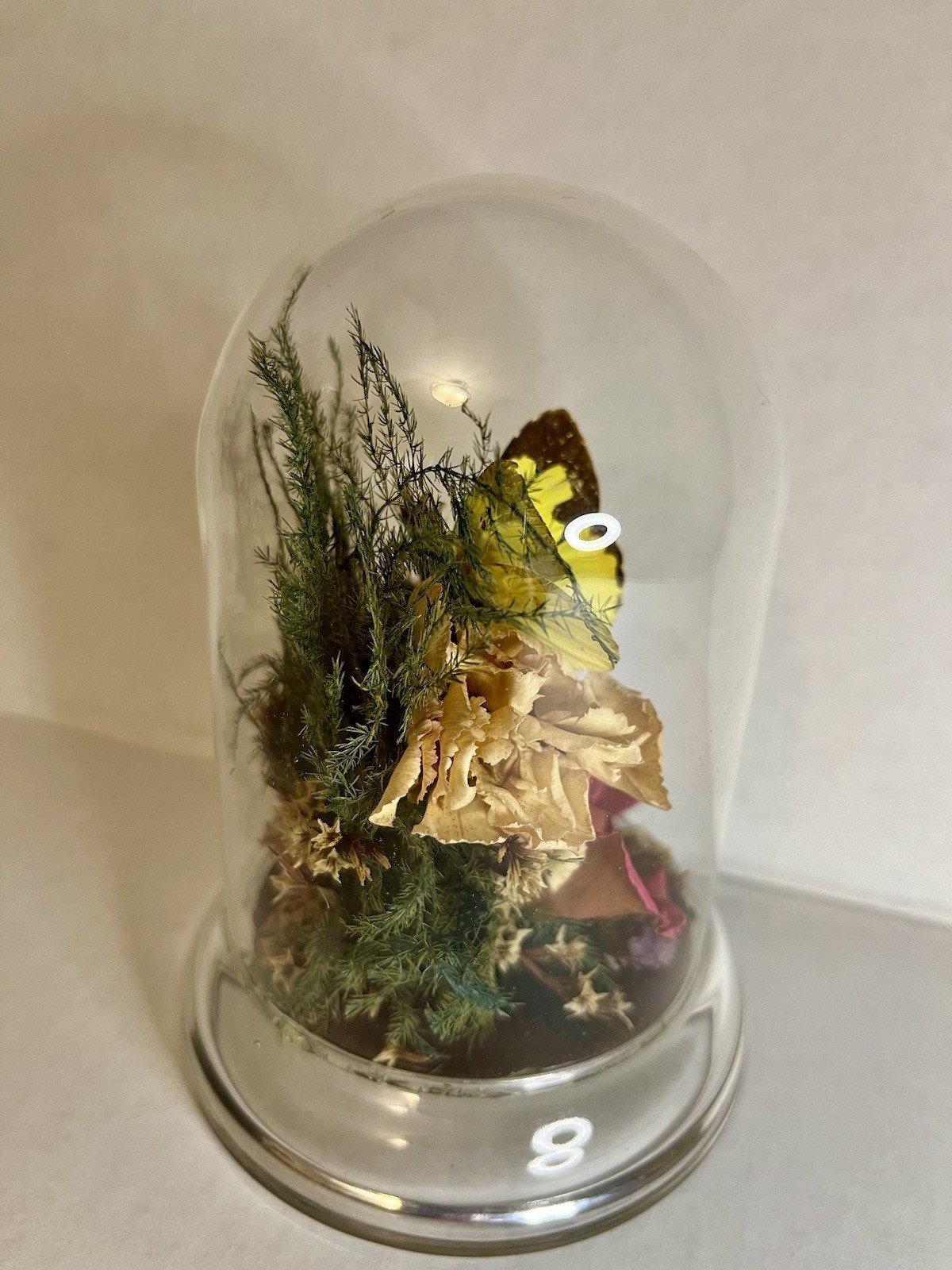 Vintage 90s Natural Expressions Dried Roses Butterfly Glass Terrarium Grannycore