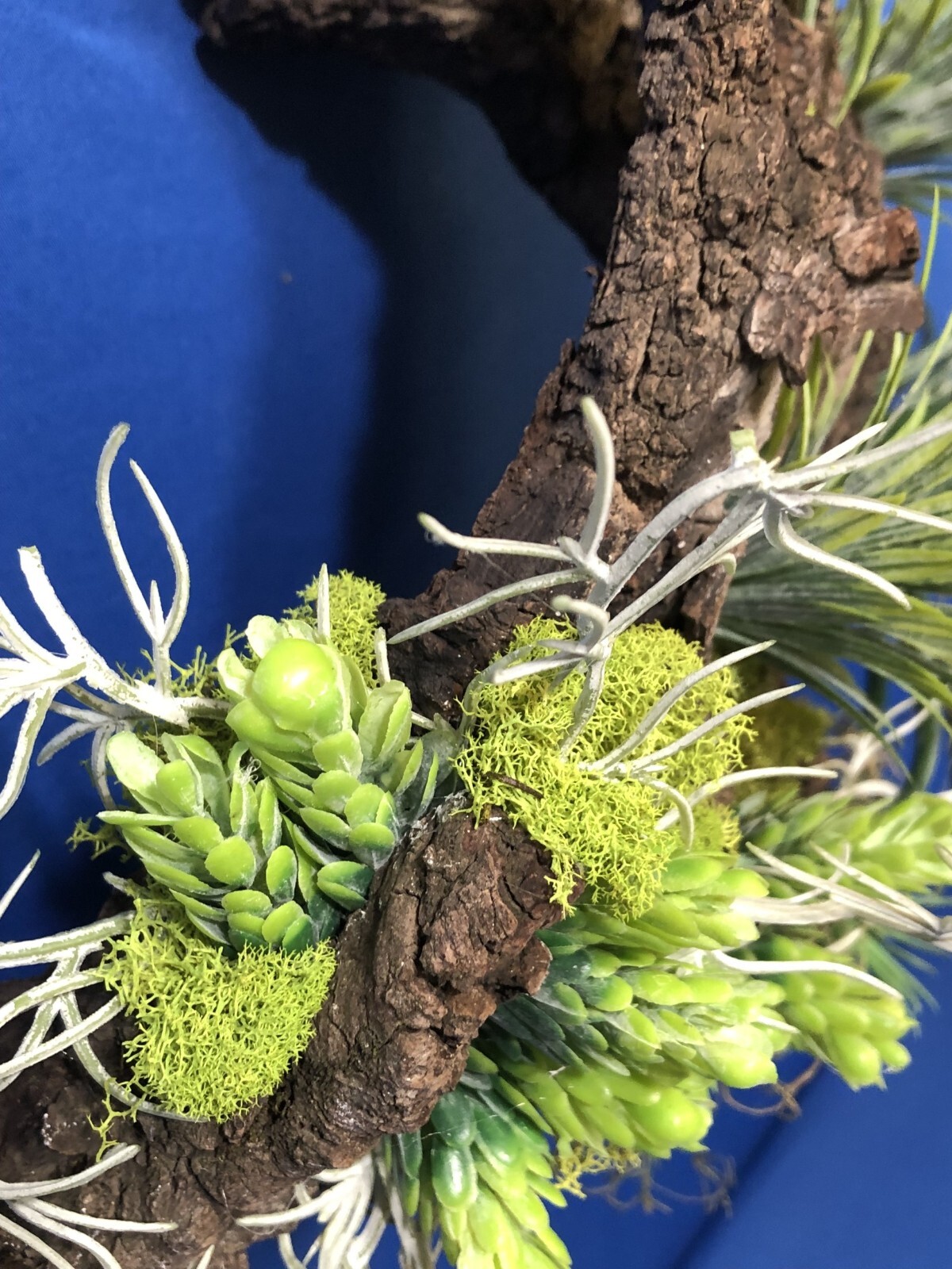 Artificial Succulent Air Plant Wall Art Home Office Mounted on Real Wood Bark